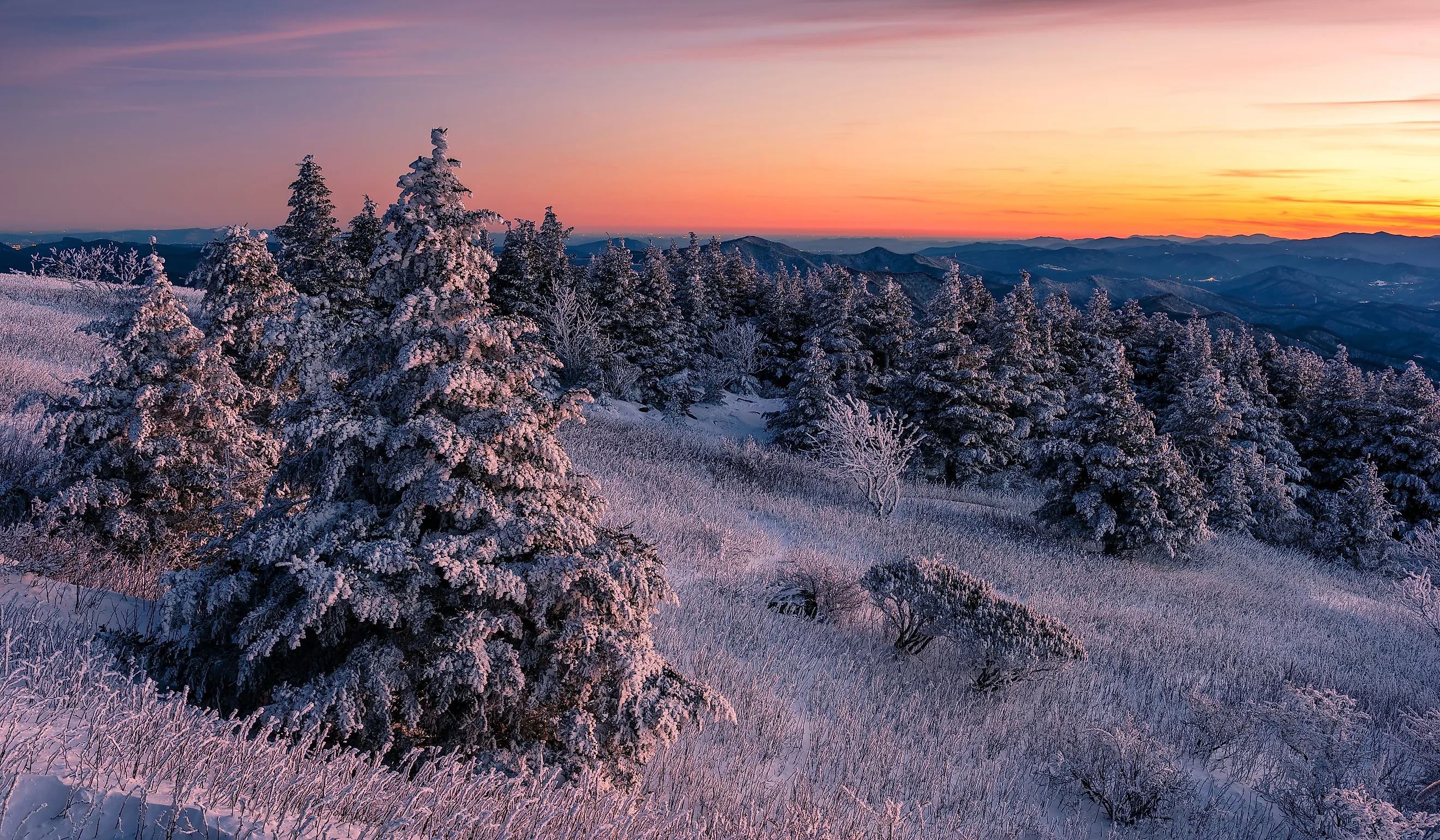 Fresh snow and sunset sky from Roan Mountain State Park in Tennessee