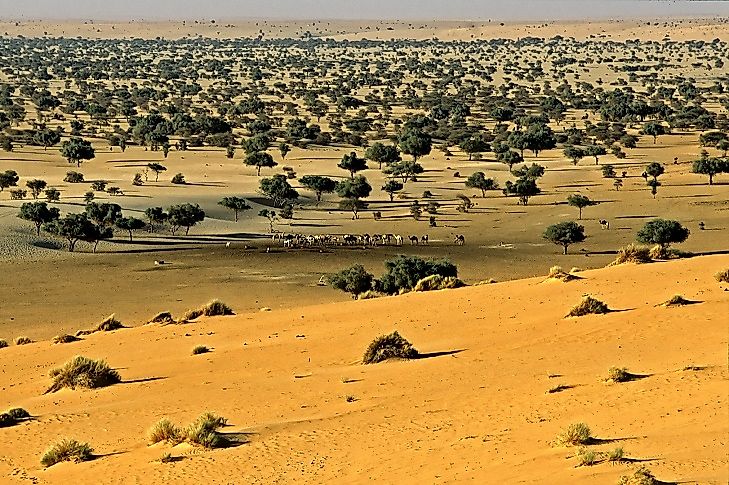Sahel landscapes and wildlife in the Termit Massif Reserve.