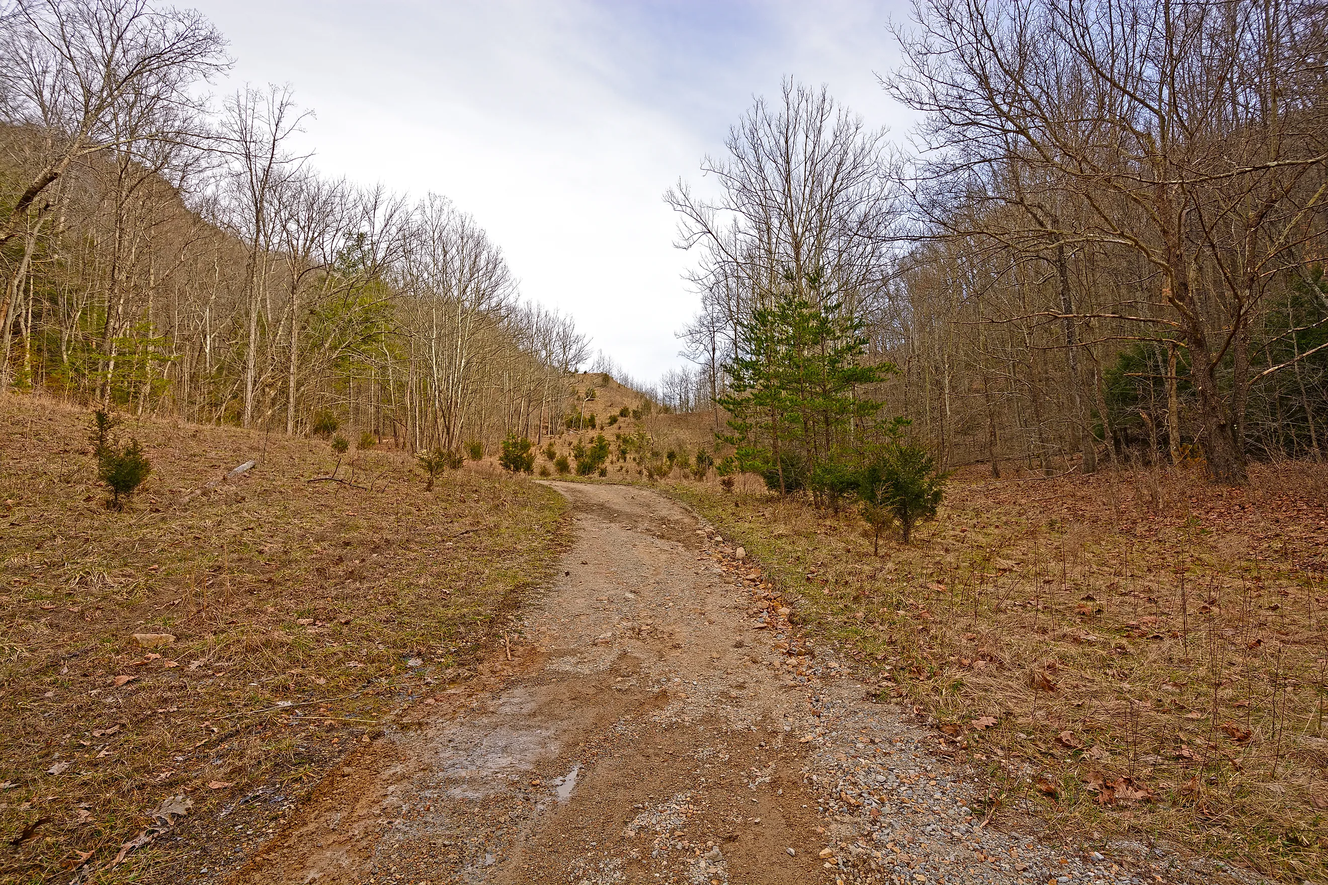 Heading to Cumberland Gap on the Wilderness Road in Cumberland Gap National Park in Kentucky