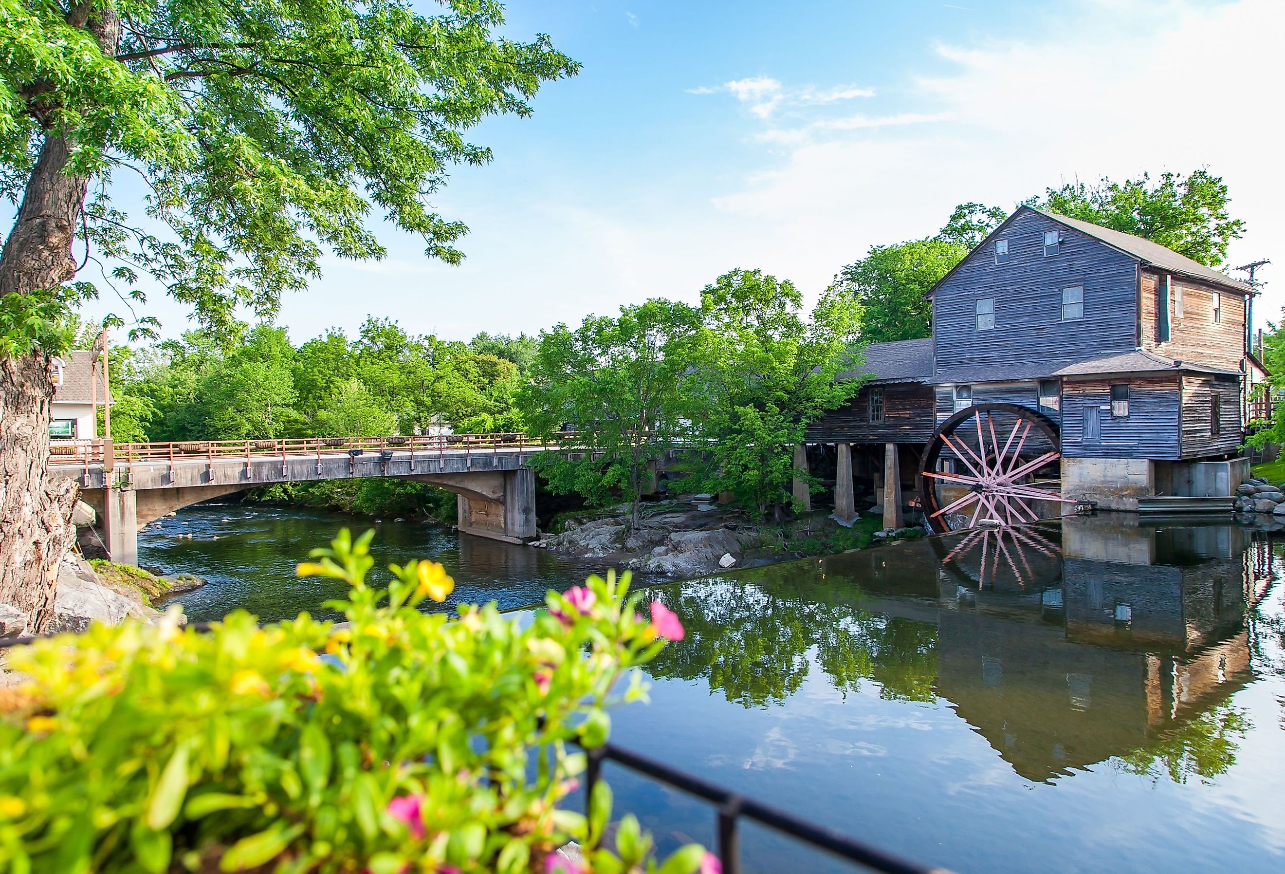Flowers blooming at the Old Mill in Pigeon Forge, Tennessee.