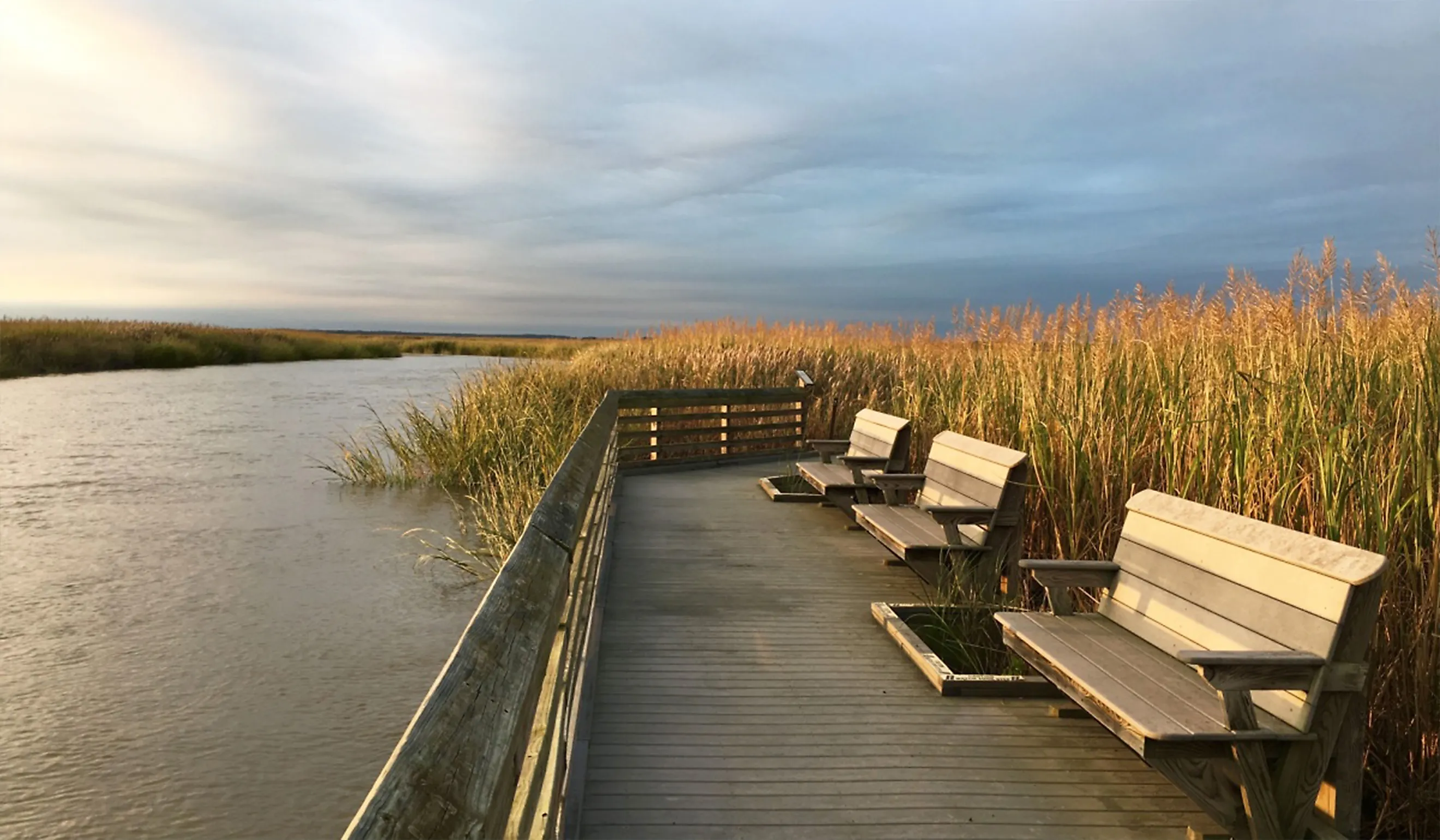 Bombay Hook National Wildlife Refuge.