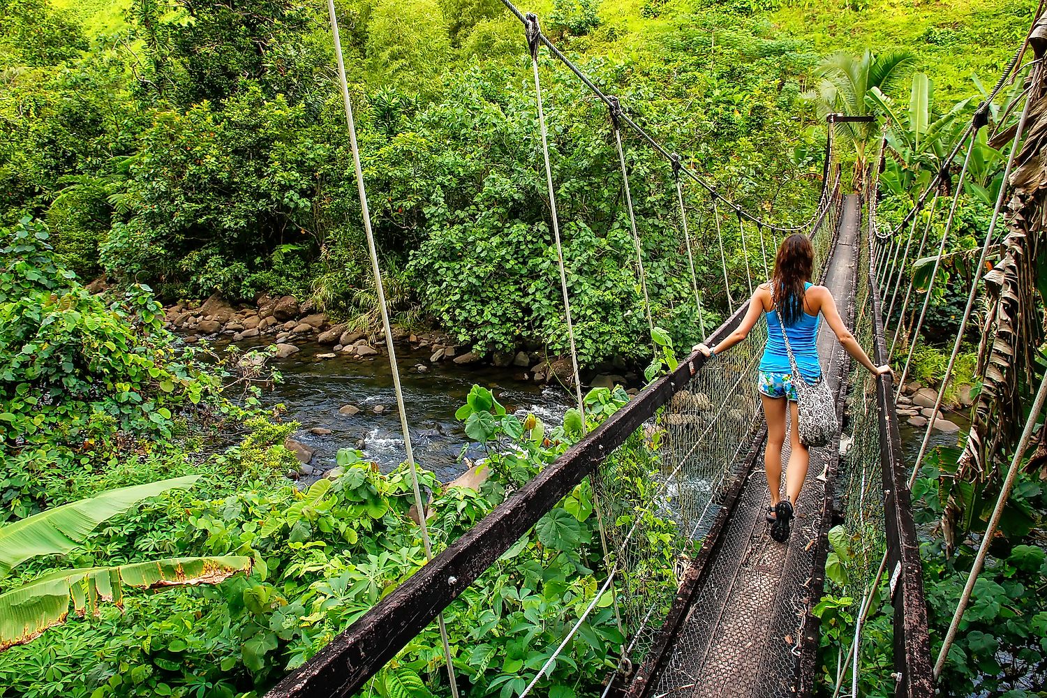 Young woman walking on suspension bridge over Wainibau stream, Lavena Coastal Walk, Taveuni Island, Fiji. Taveuni is the third largest island in Fiji. Image credit: Don Mammoser/Shutterstock.com