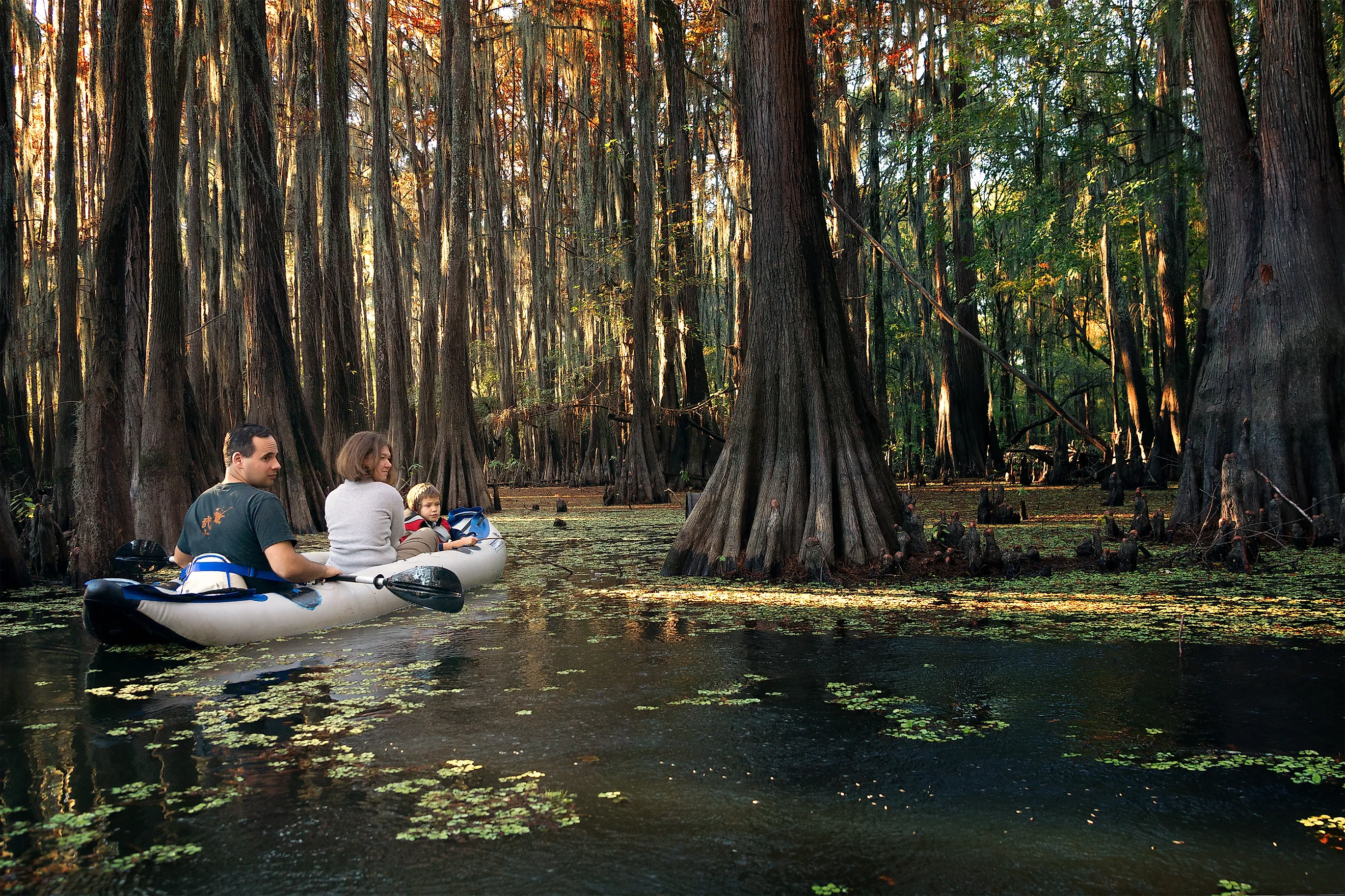 Caddo Lake State Park, Texas