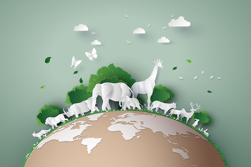 Scientists have only managed to document 14% of living species.