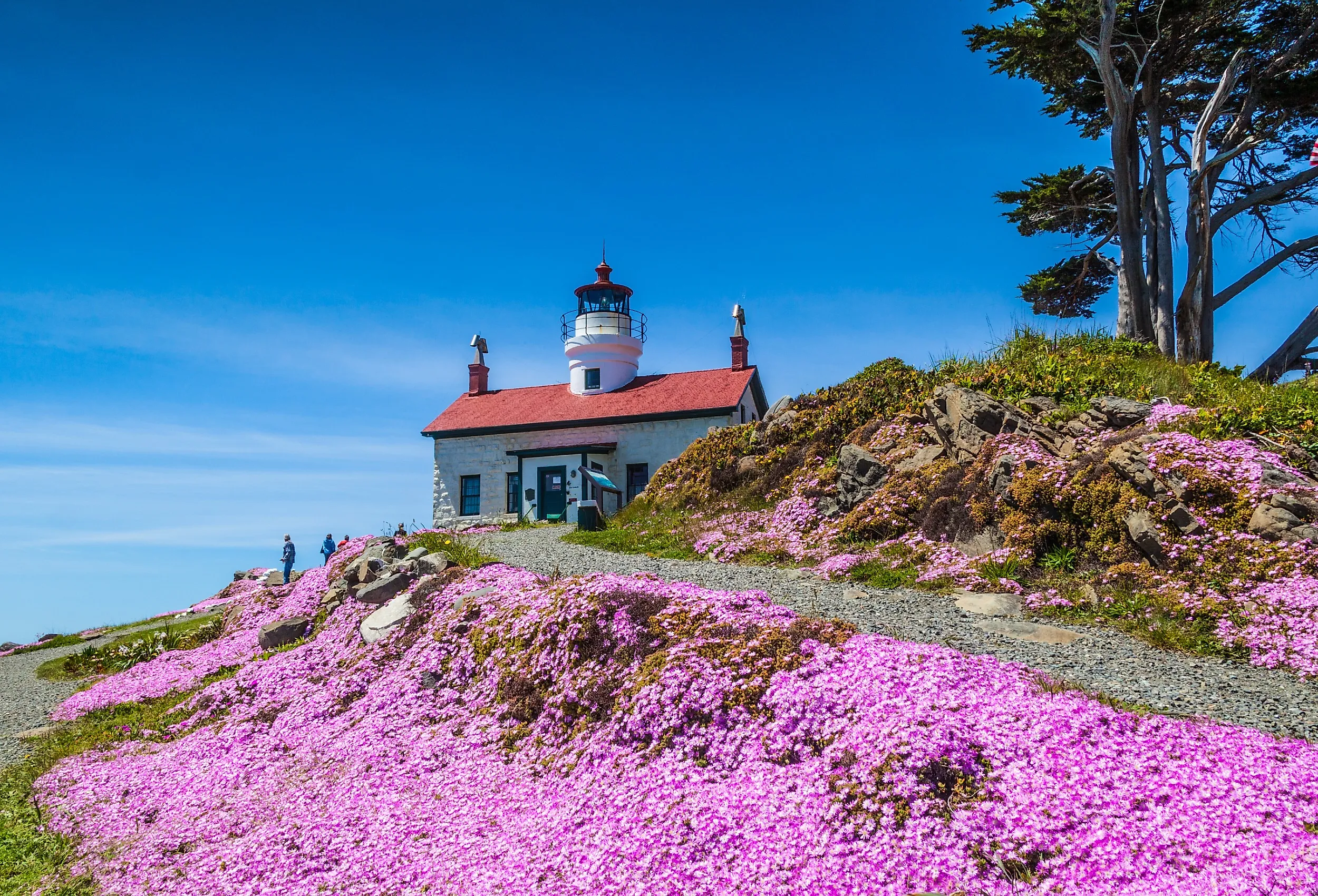 Foreground view of the Battery Point Lighthouse in Crescent City, California.