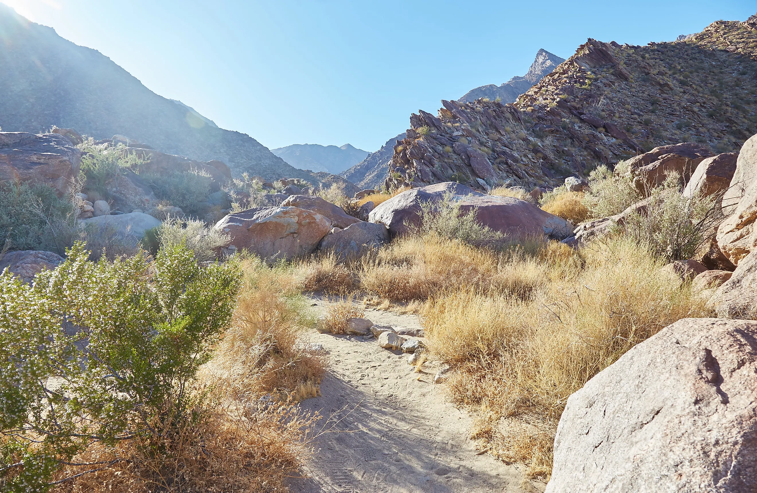 Anza-Borrego Desert State Park. 
