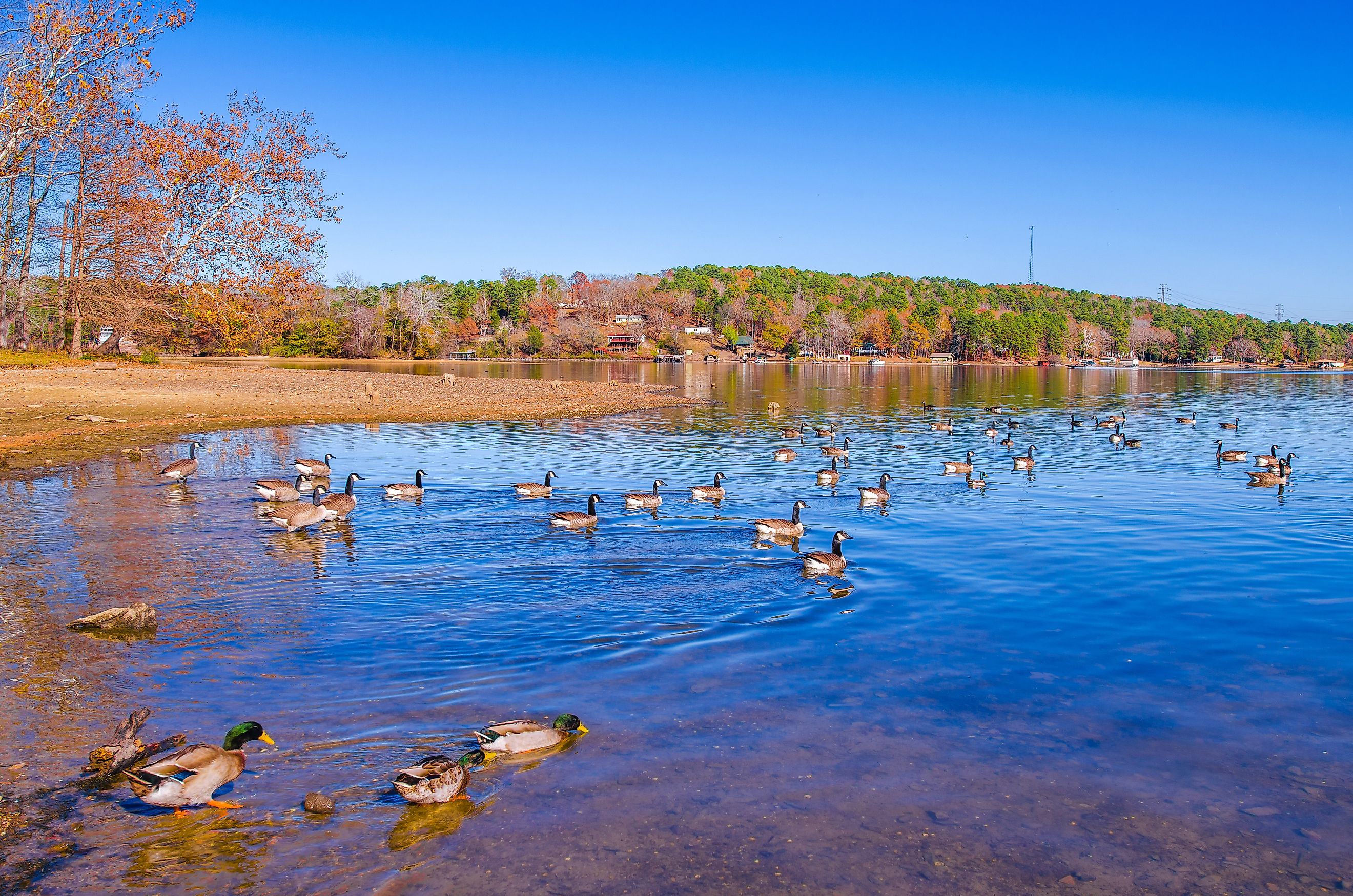 Lake Catherine State Park in Arkansas