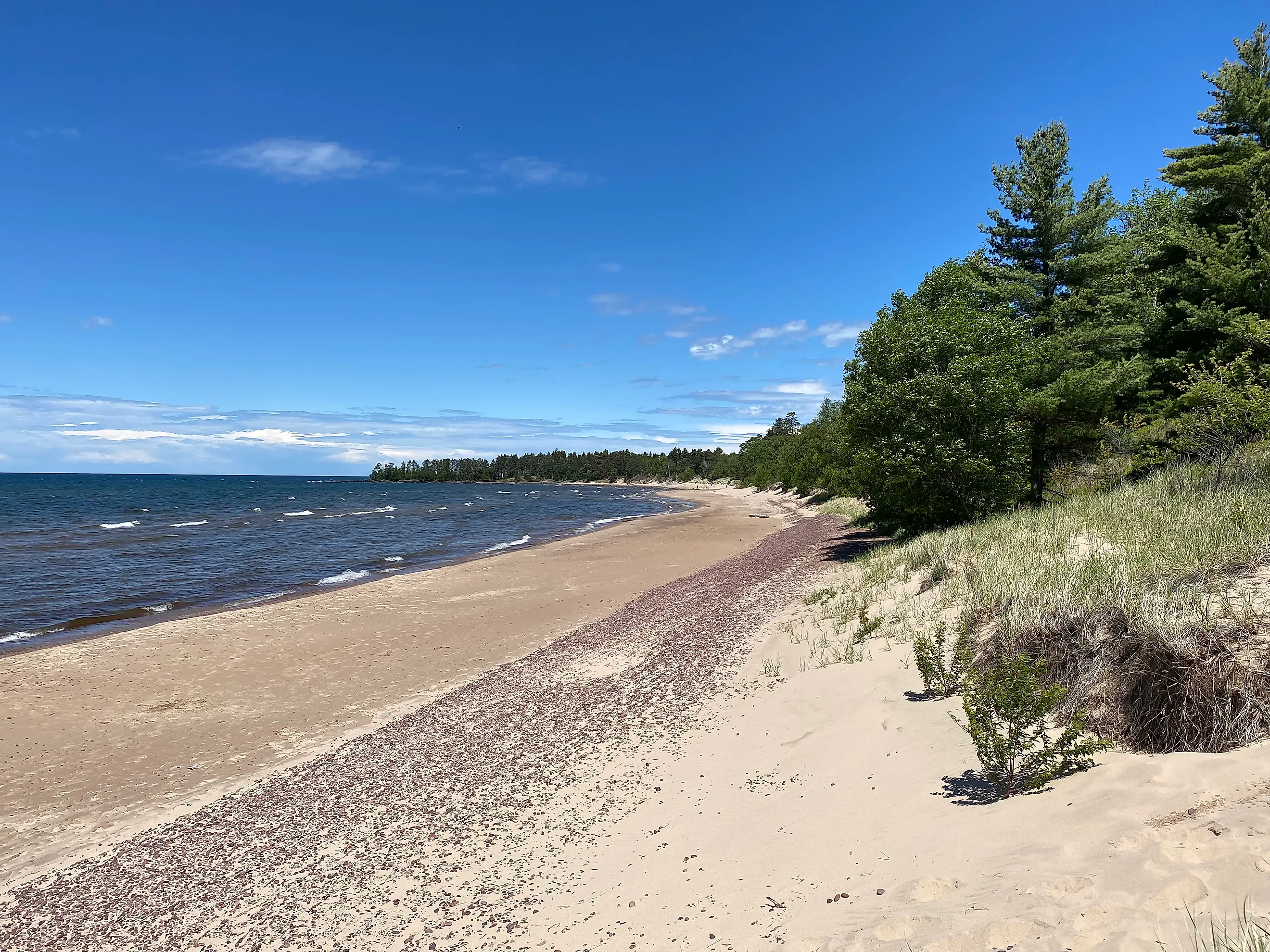 A wild Lake Superior beach backed by modest dunes and full forests. Image credit: Andrew Douglas