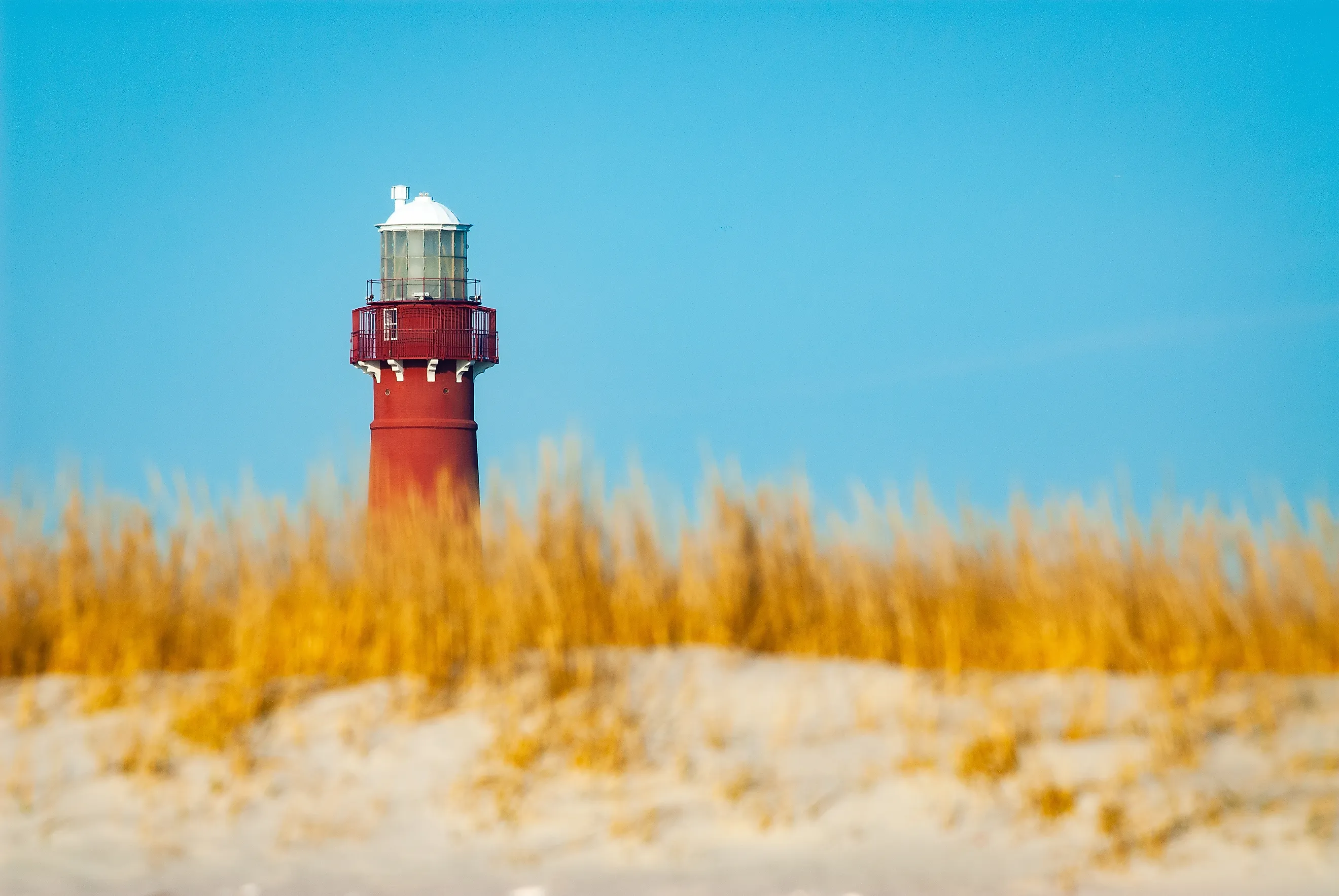 Barnegat Lighthouse on a bluebird day. (Editorial credit: Cavan-Images / Shutterstock.com)