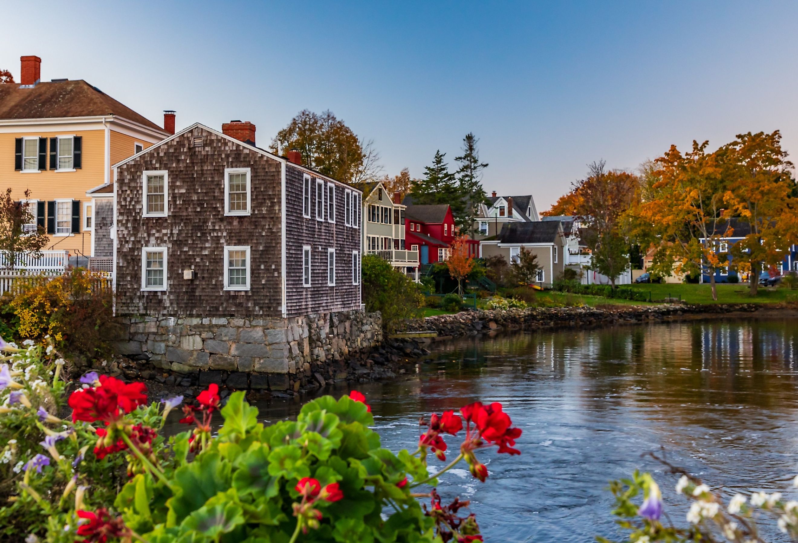 Flowers in bloom in New Hampshire, Portsmouth, Little Harbor.