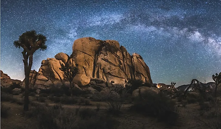 The night sky in Joshua Tree National Park.