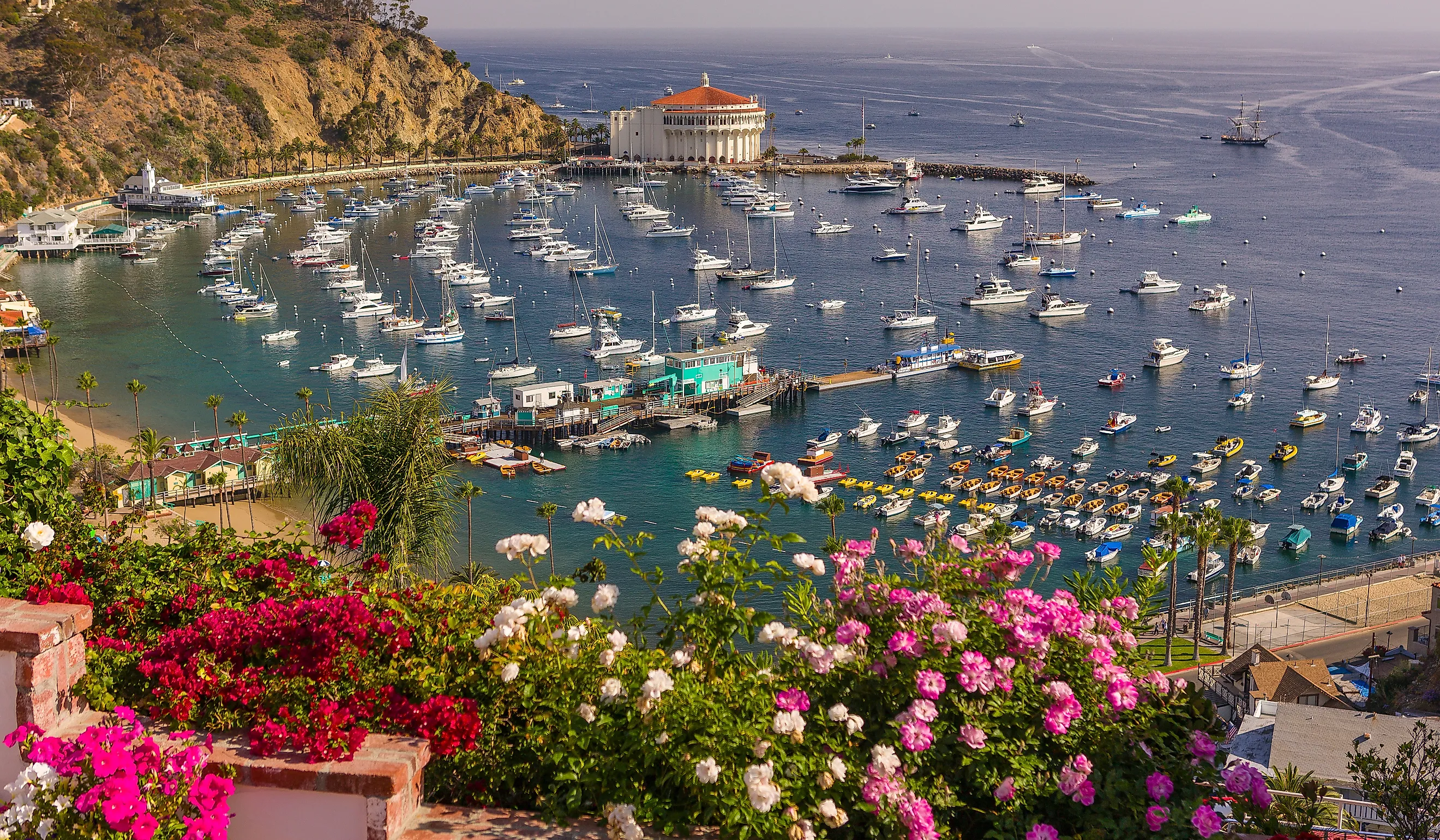 Avalon, Santa Catalina Island. Editorial credit: Rob Crandall / Shutterstock.com