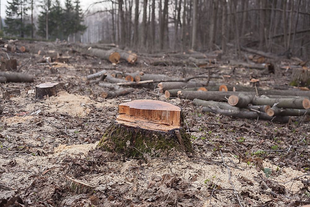 Deforestation is an example of environmental degradation.