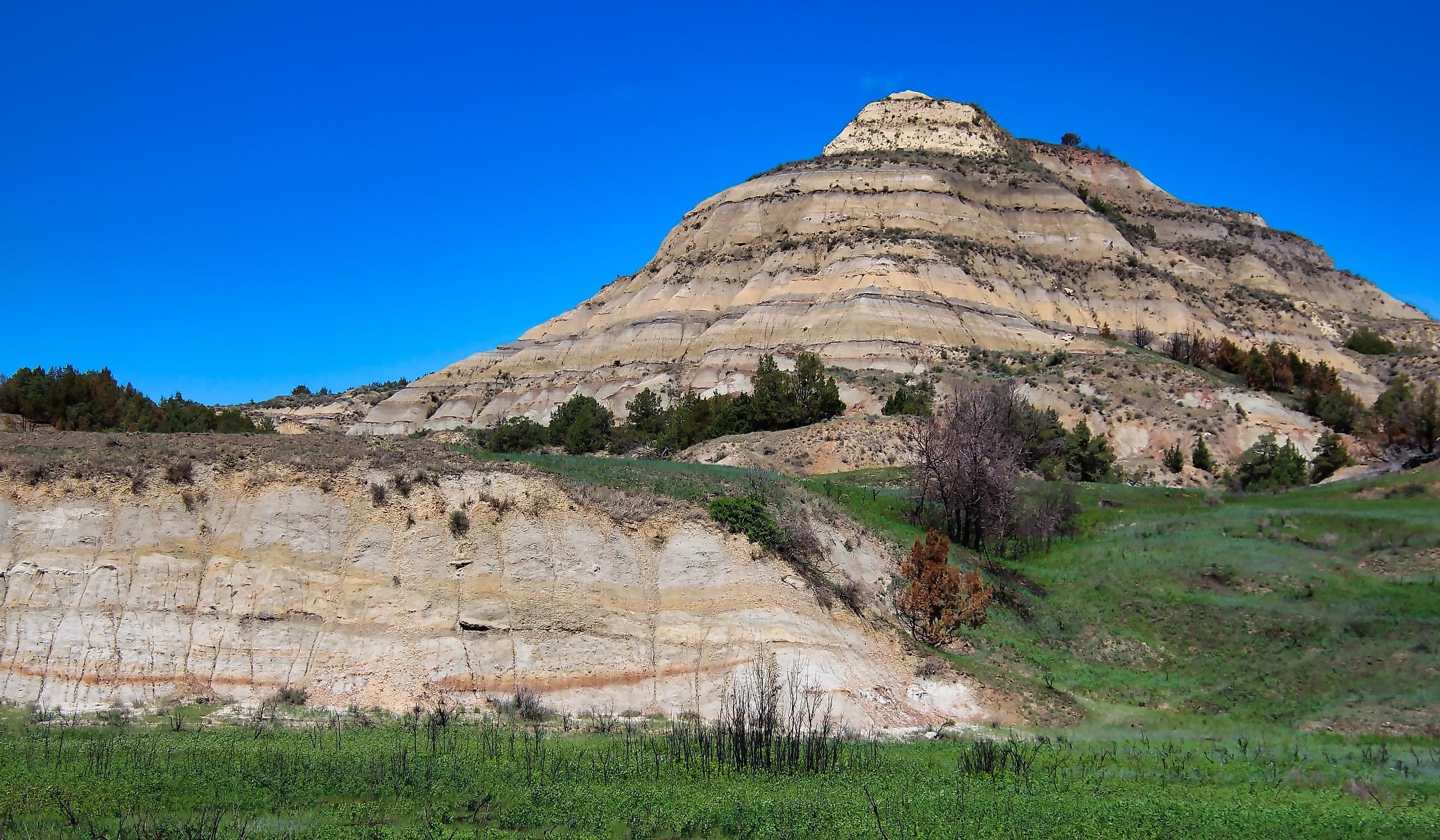 Spring in Theodore Roosevelt National Park in North Dakota.