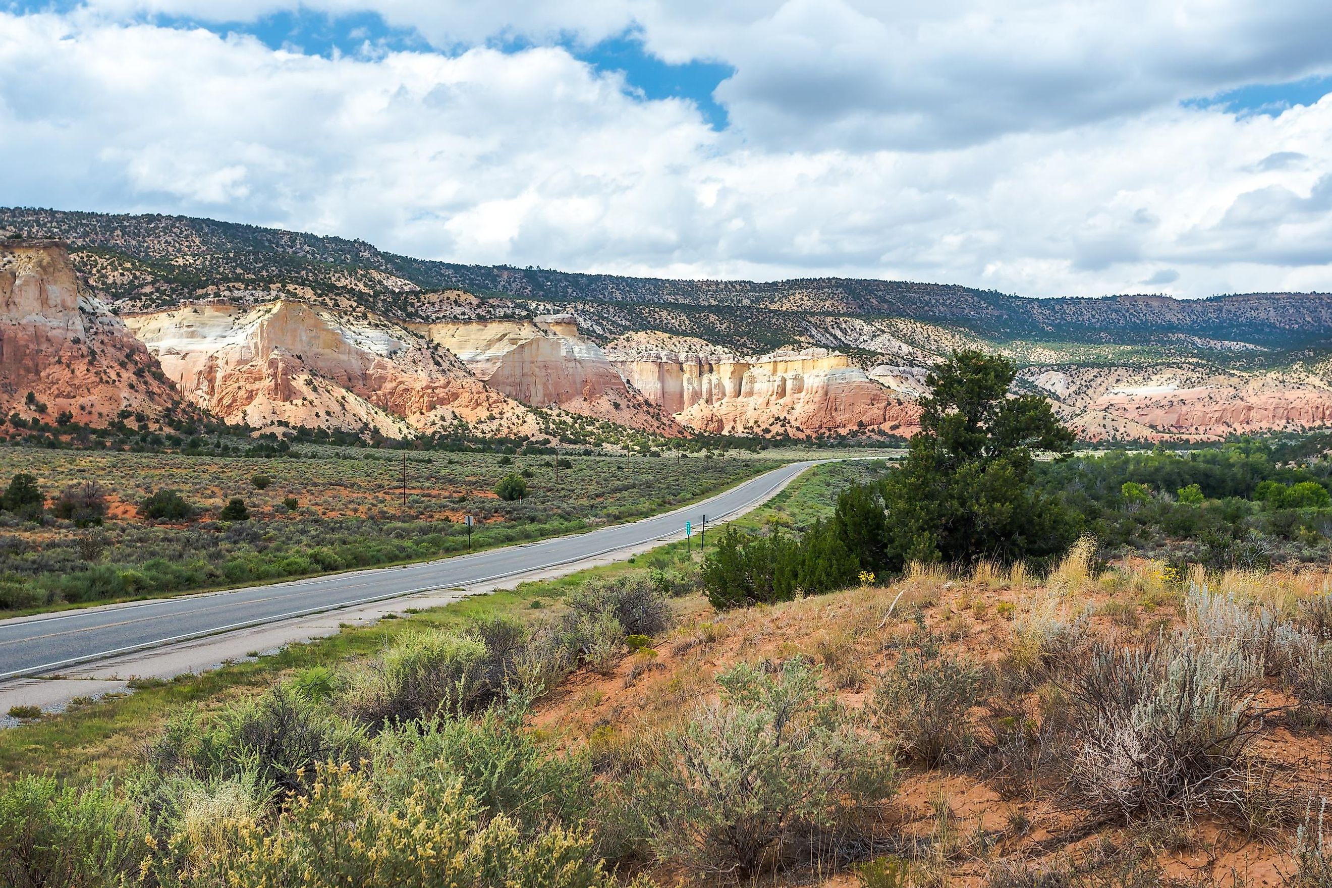 A road through New Mexico's wilderness.