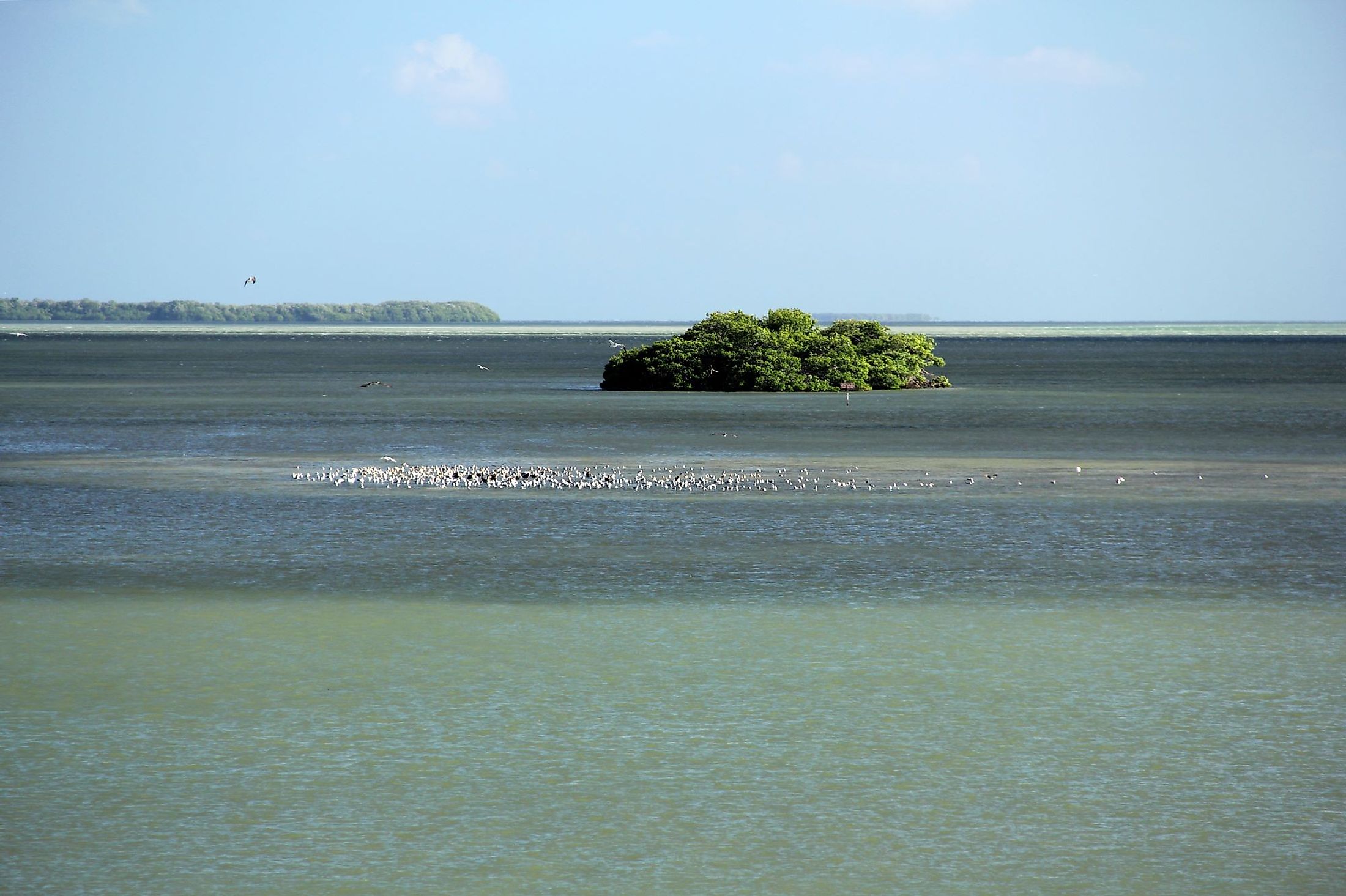 Seascape of Florida Bay as viewed from the Flamingo Visitor Center in Everglades National Park
