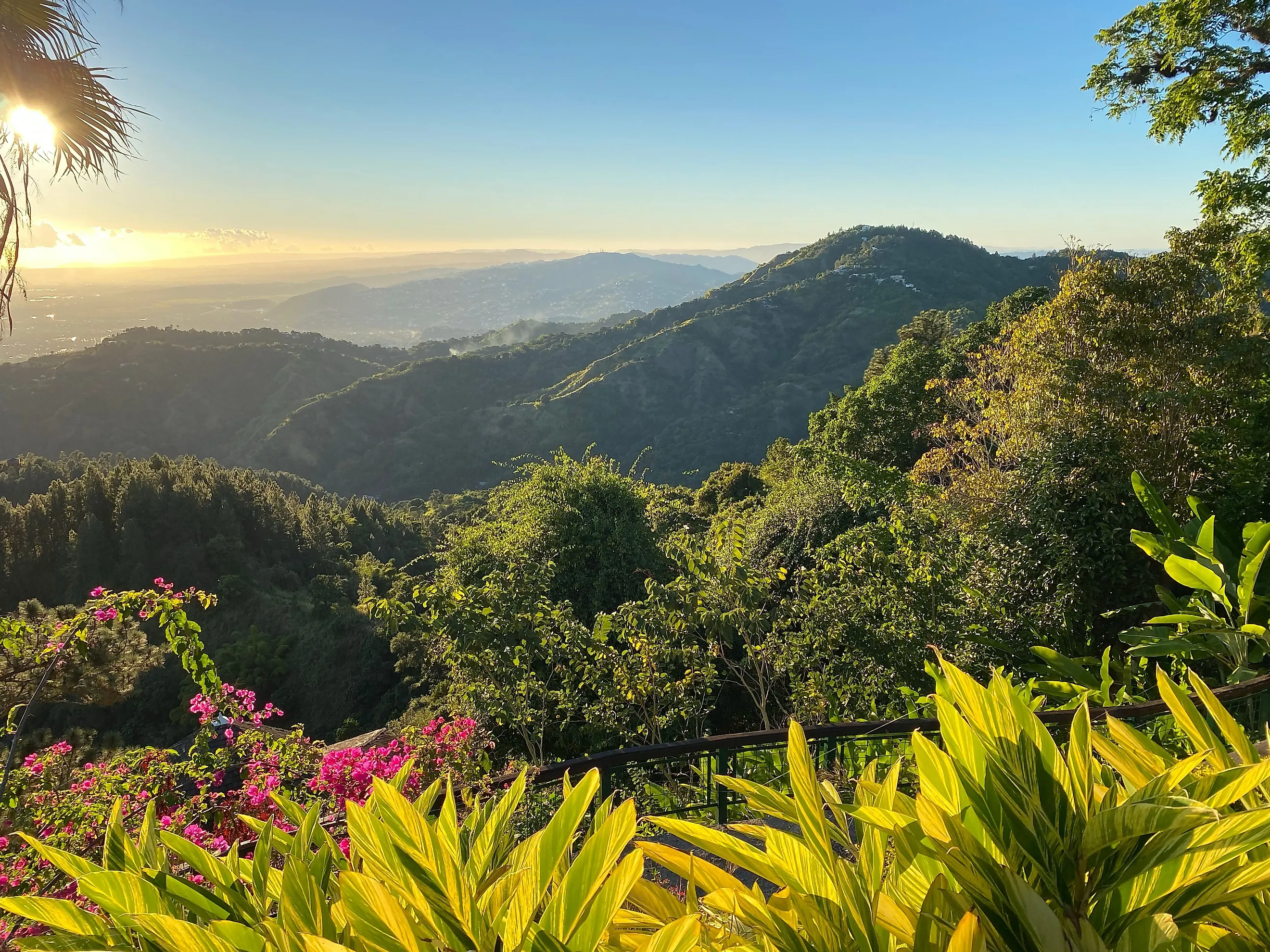 Tropical National Forest of El Yunque in Puerto Rico. 
