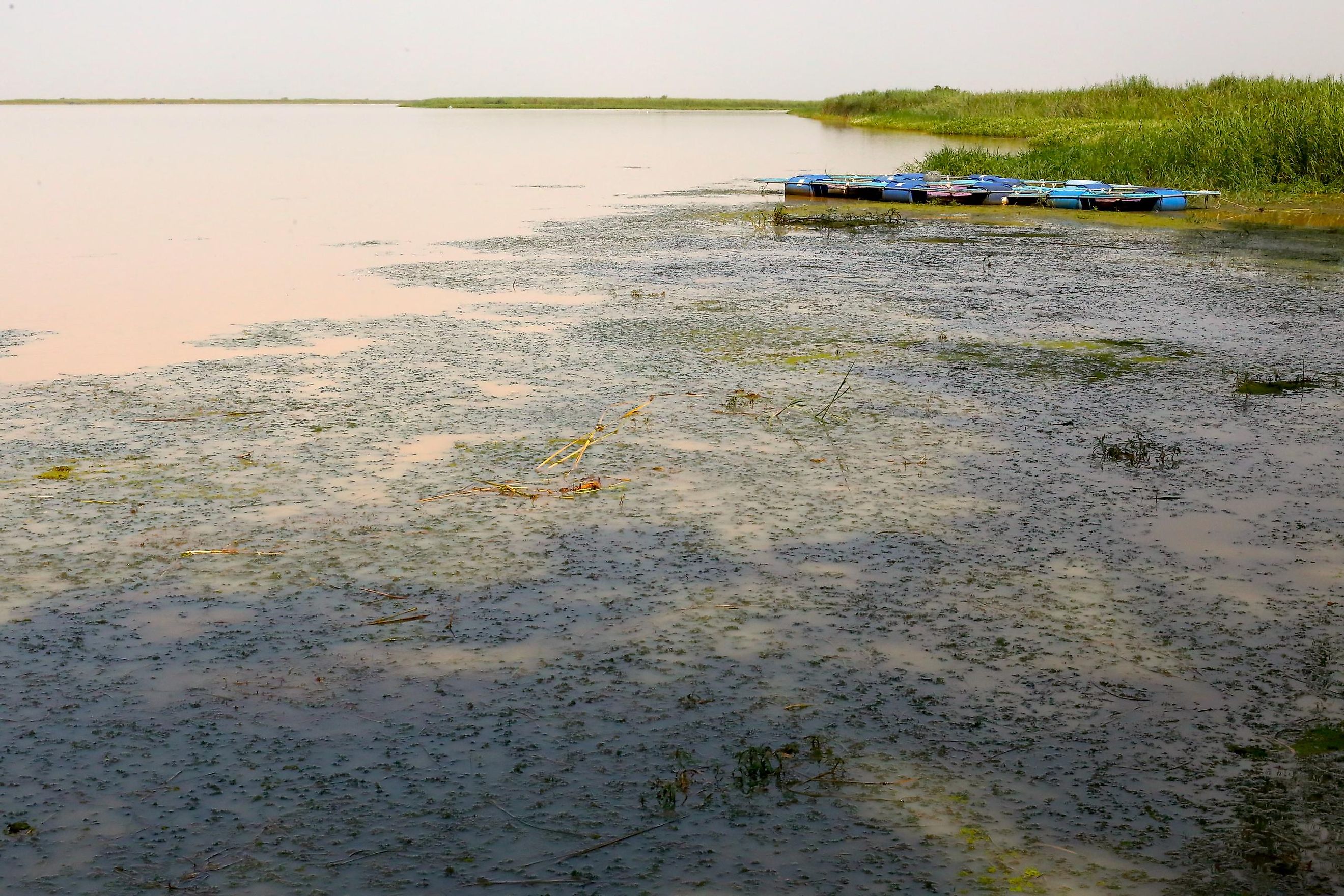 Lake Guiers, Senegal.