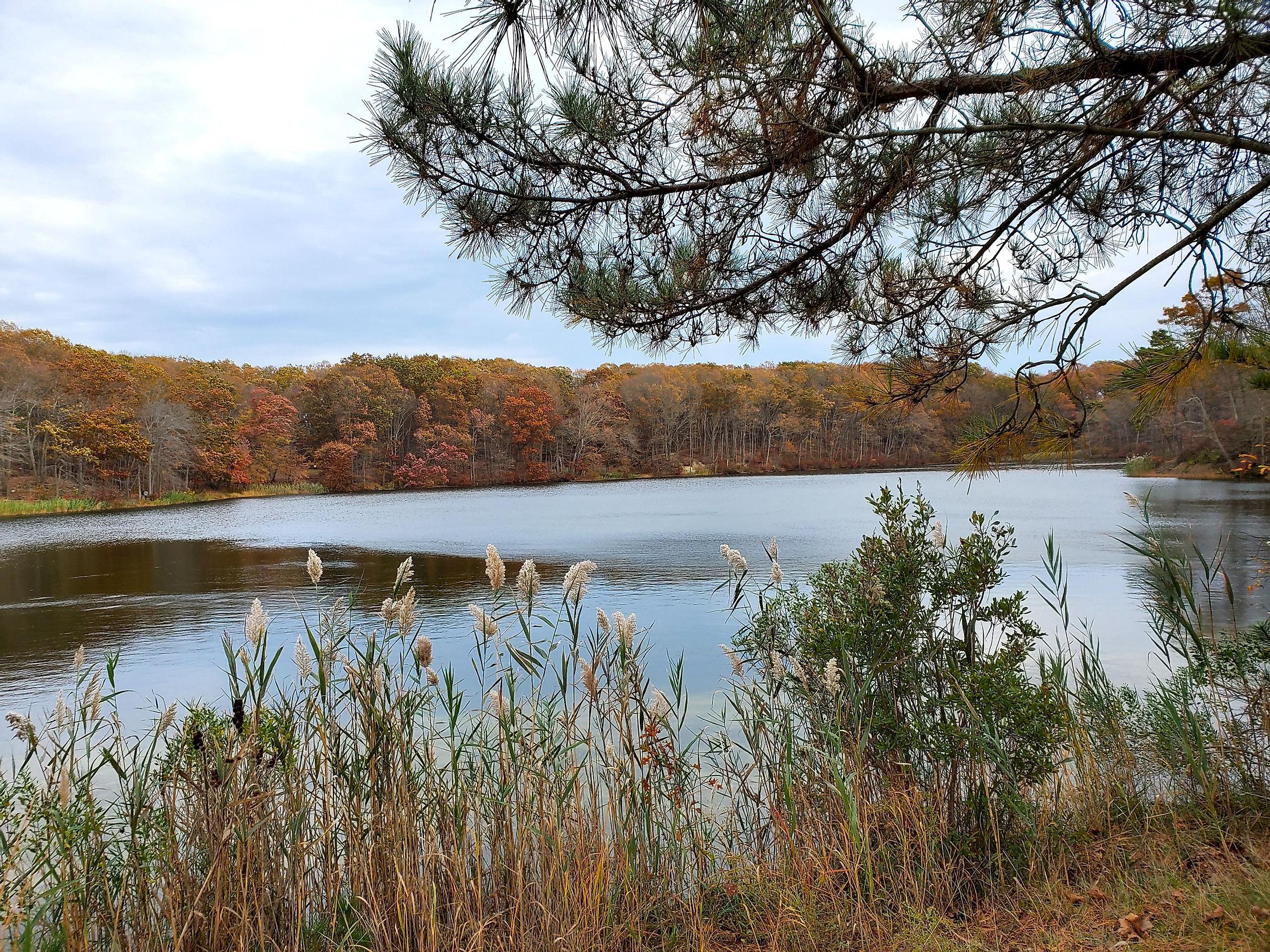 Fall at Hooks Creek Lake, New Jersey.