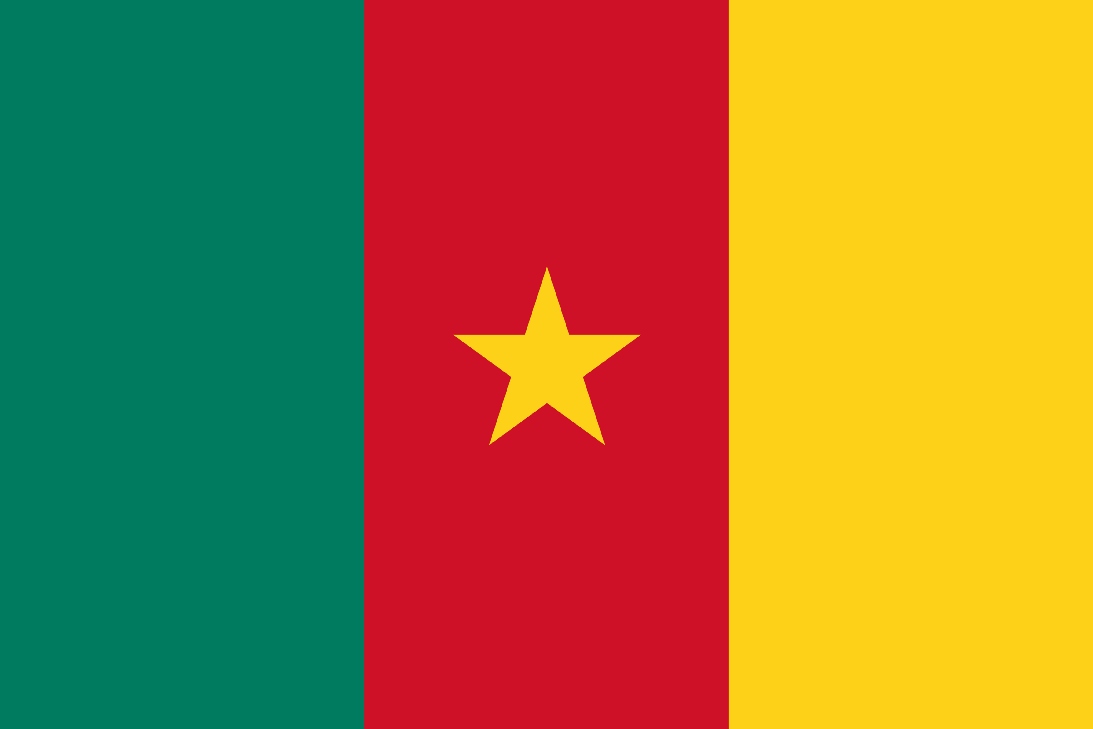 The official flag of Cameroon.
