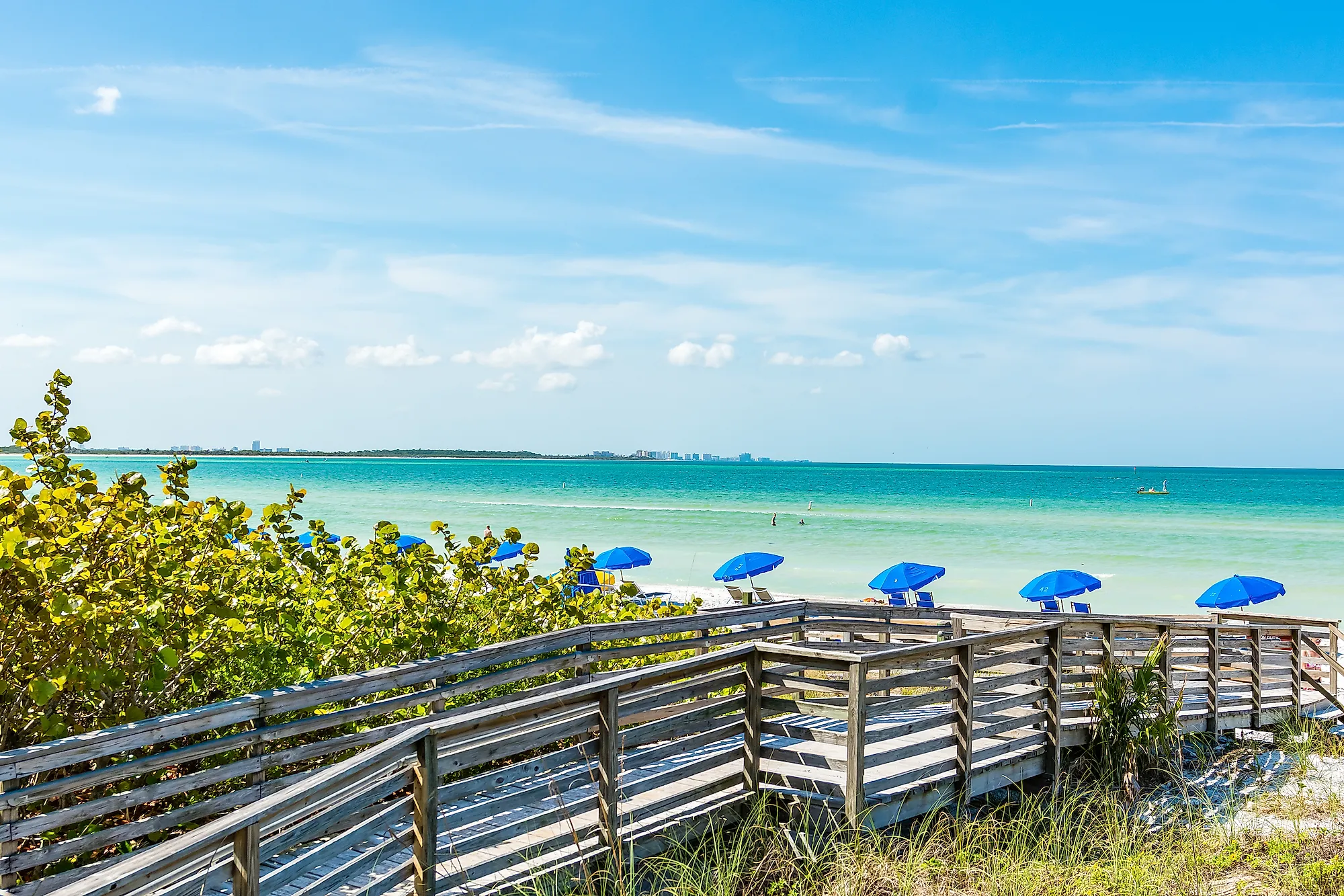 Honeymoon Island State Park Florida