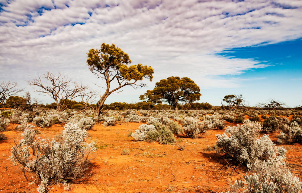 Australia has a large arid center.