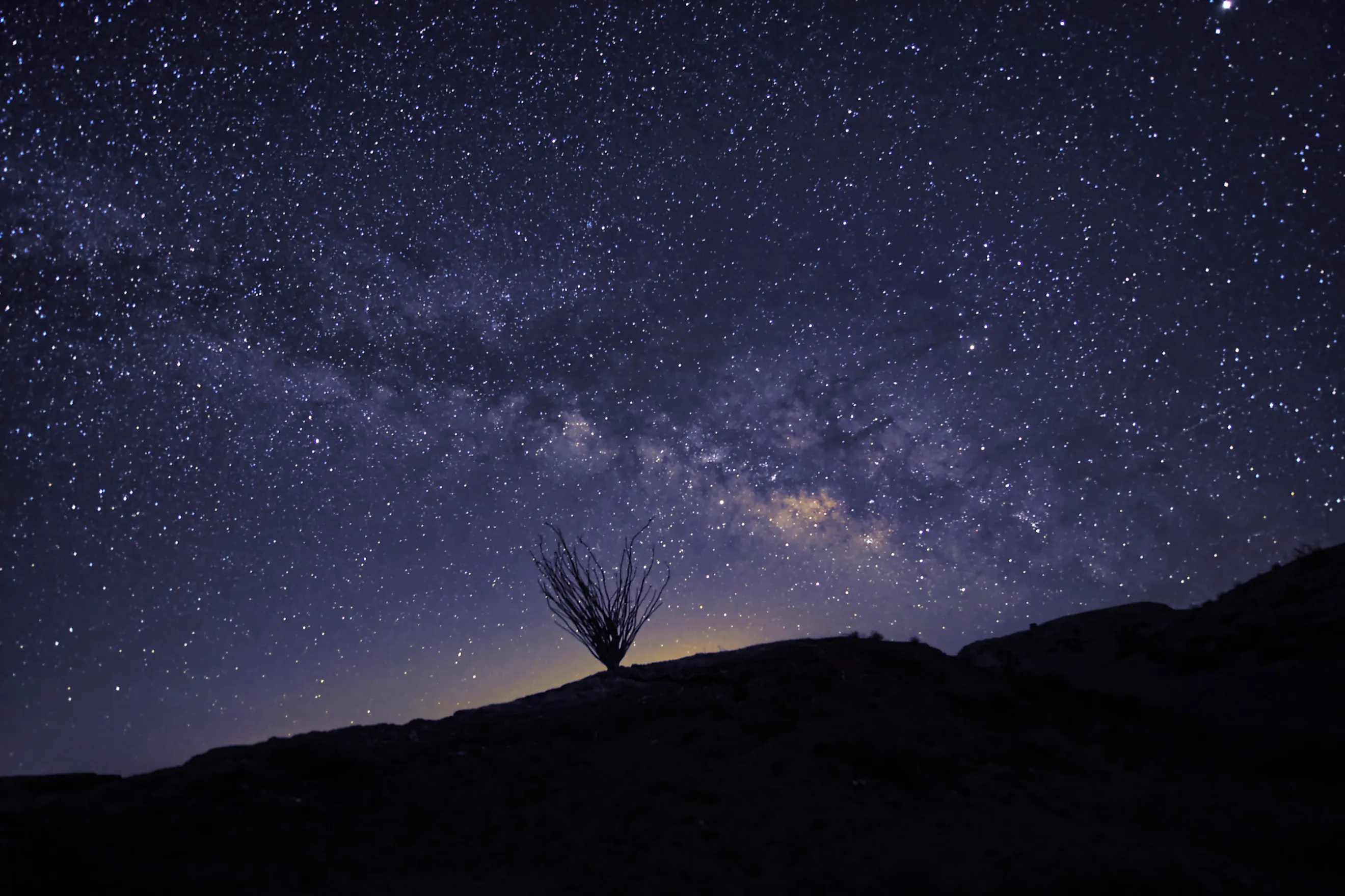 Milky way over Anza Borrego state park. 