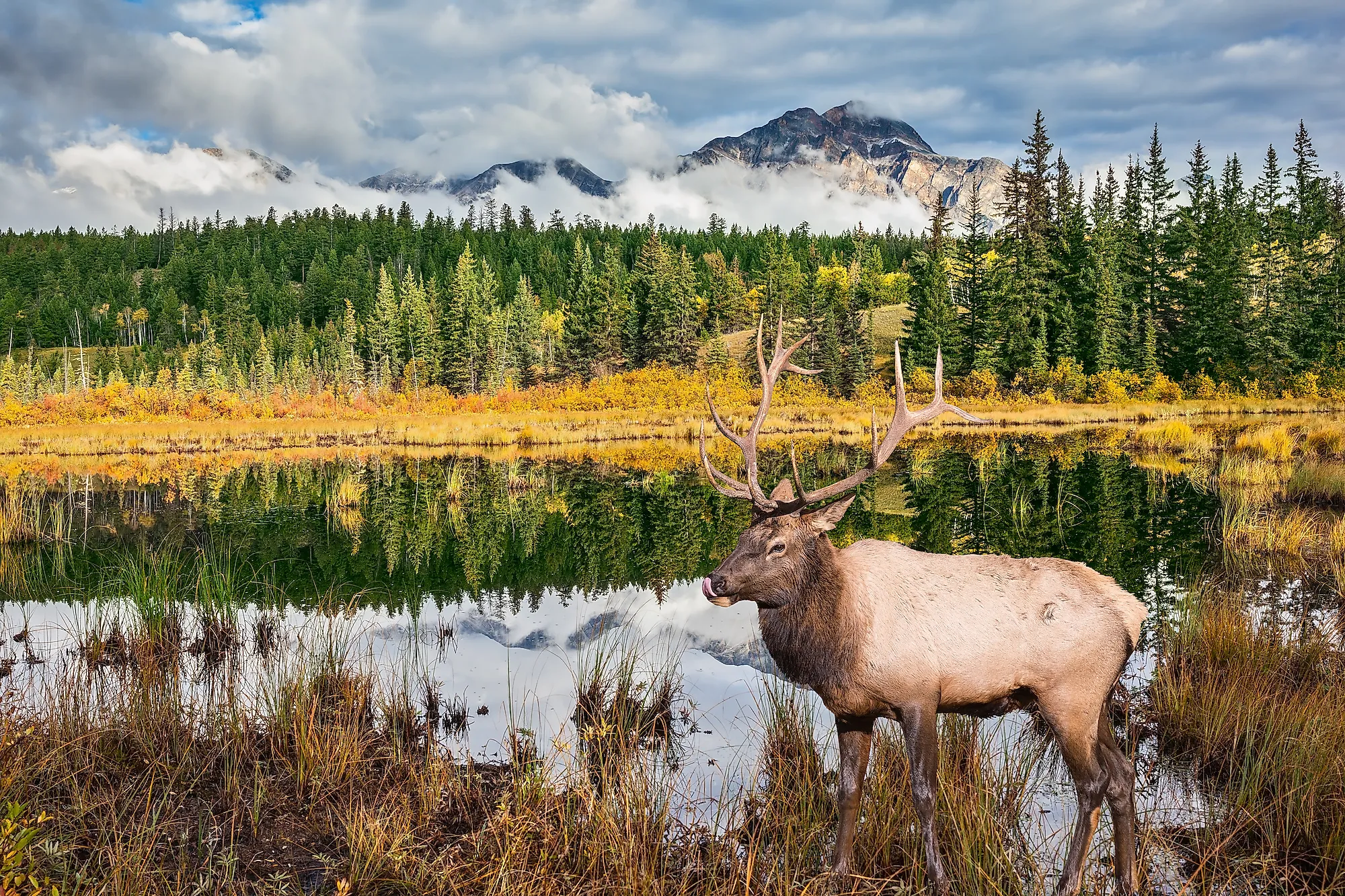  how were the rocky mountains formed worldatlas