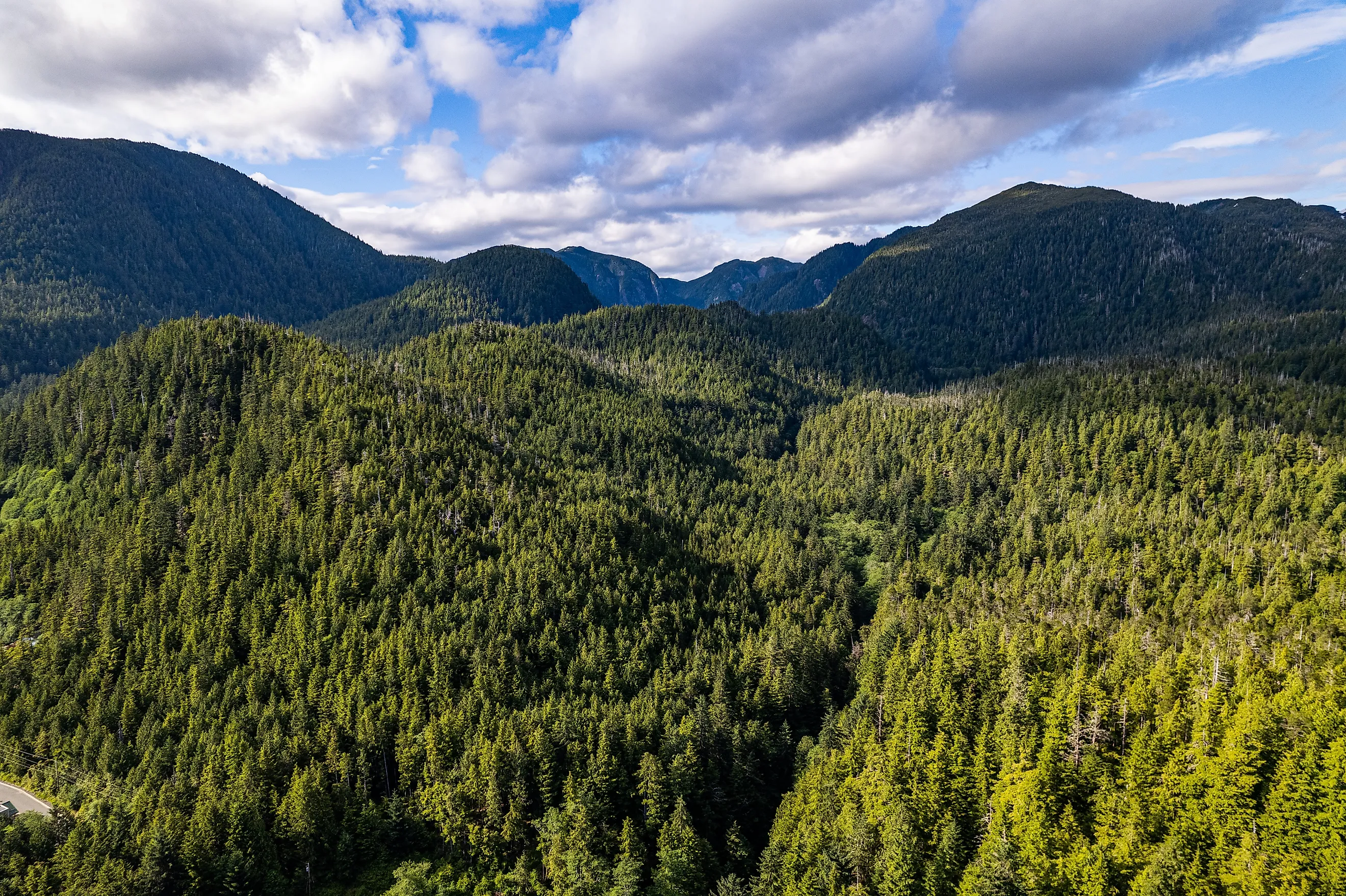Aerial view over an unbroken canopy of dense green temperate rainforest covering rugged hills, Southeast Alaska. 