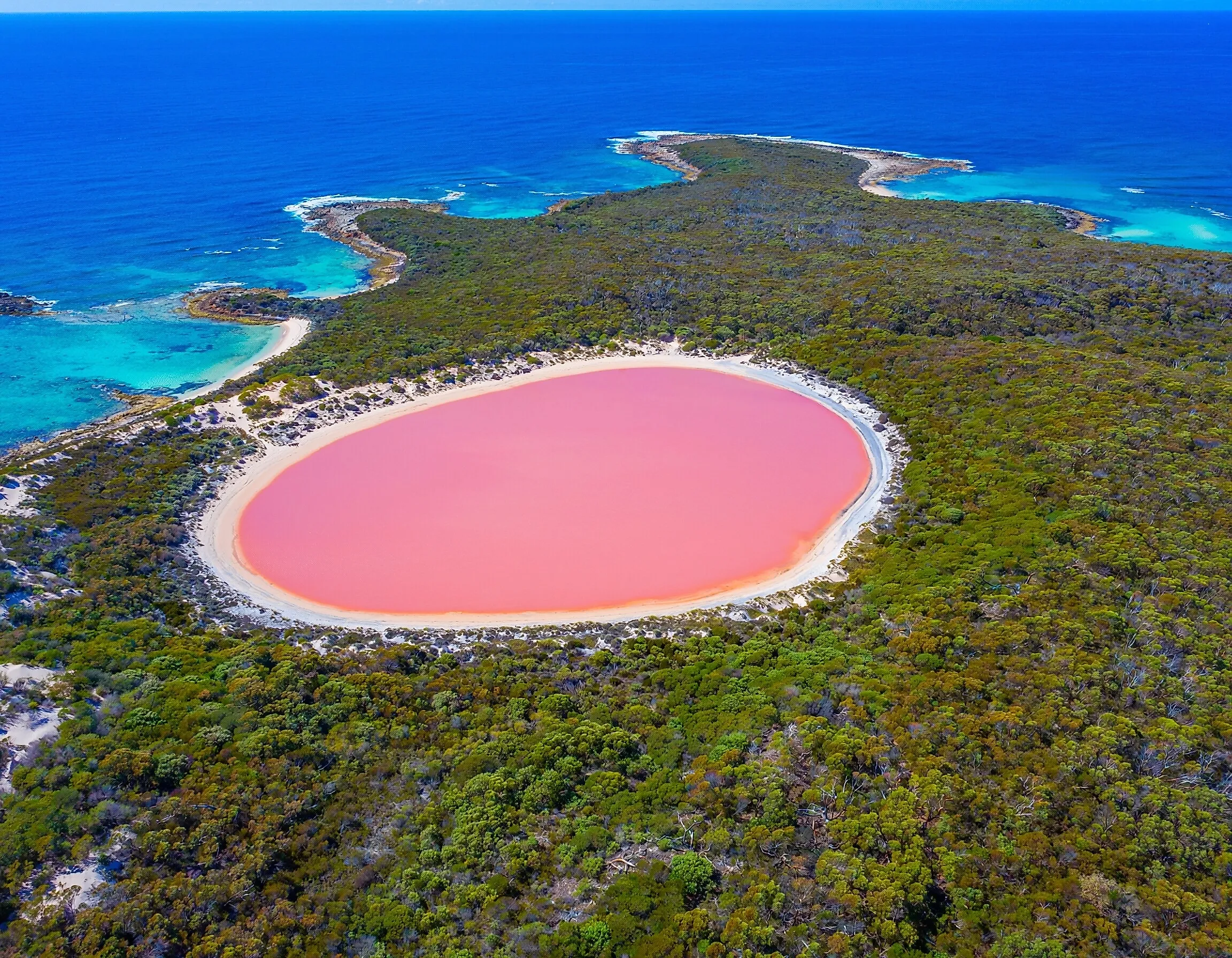 Lake Hillier on Middle Island in Western Australia is famous for its striking pink-colored water. 