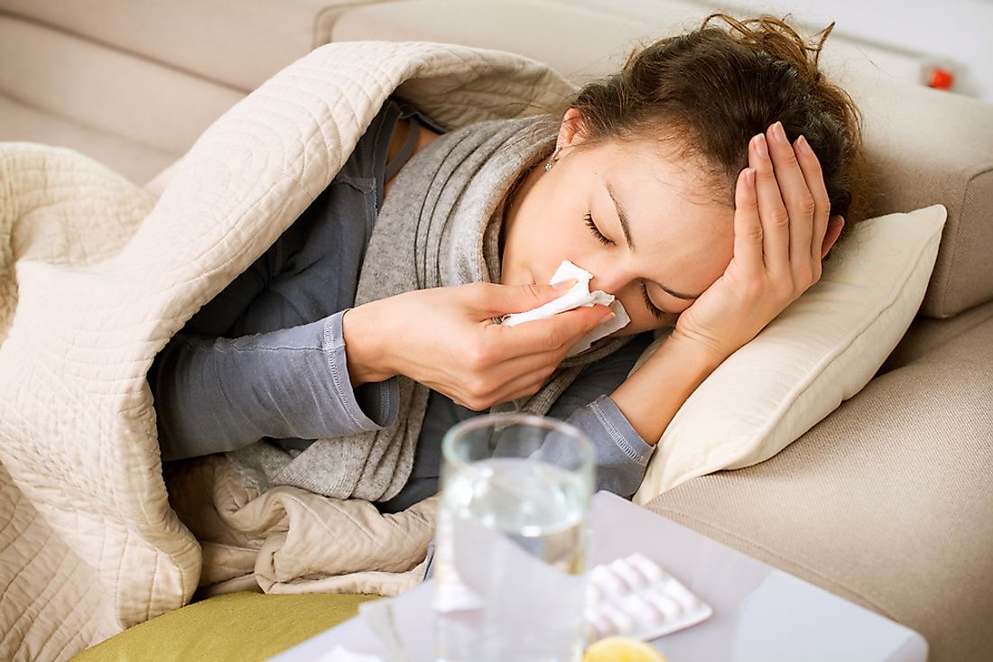 A gripe sazonal aparece para piorar nossas vidas a cada ano, mas nunca é completamente a mesma.