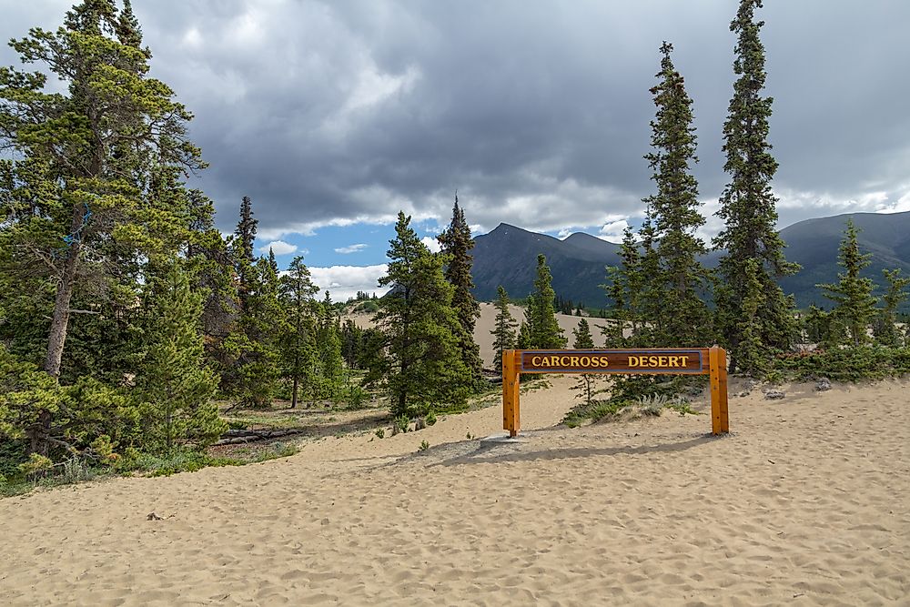 The Carcross Desert in Yukon, Canada. Image credit: Anne08/Shutterstock.com
