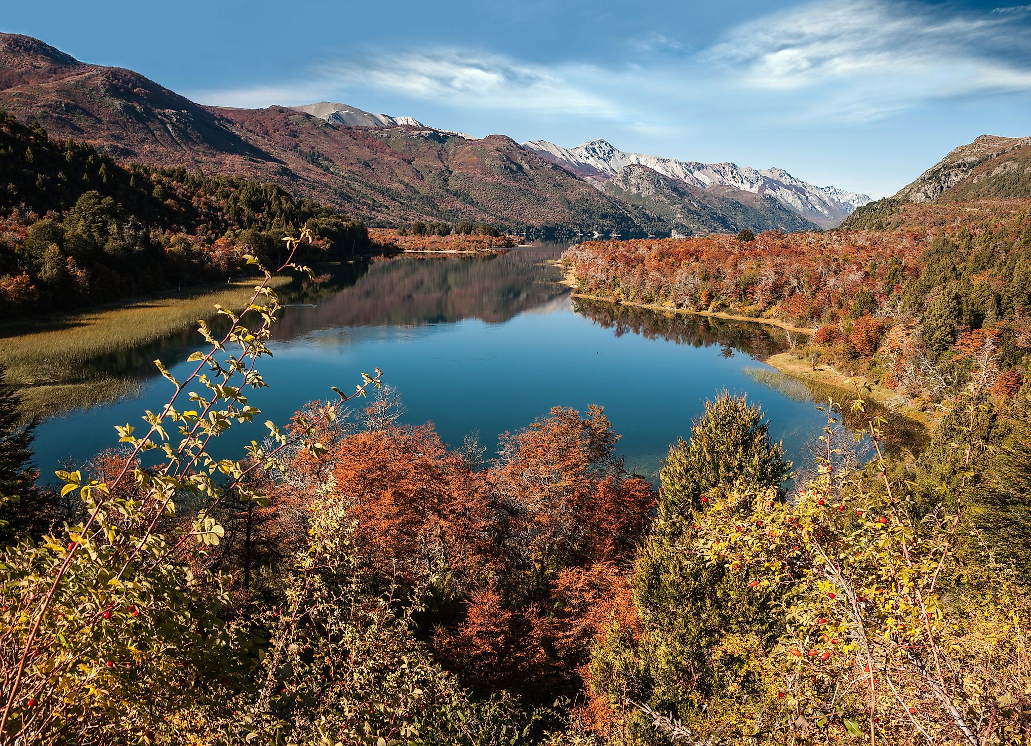 The vast mainland of Argentina is home to many mammal types.