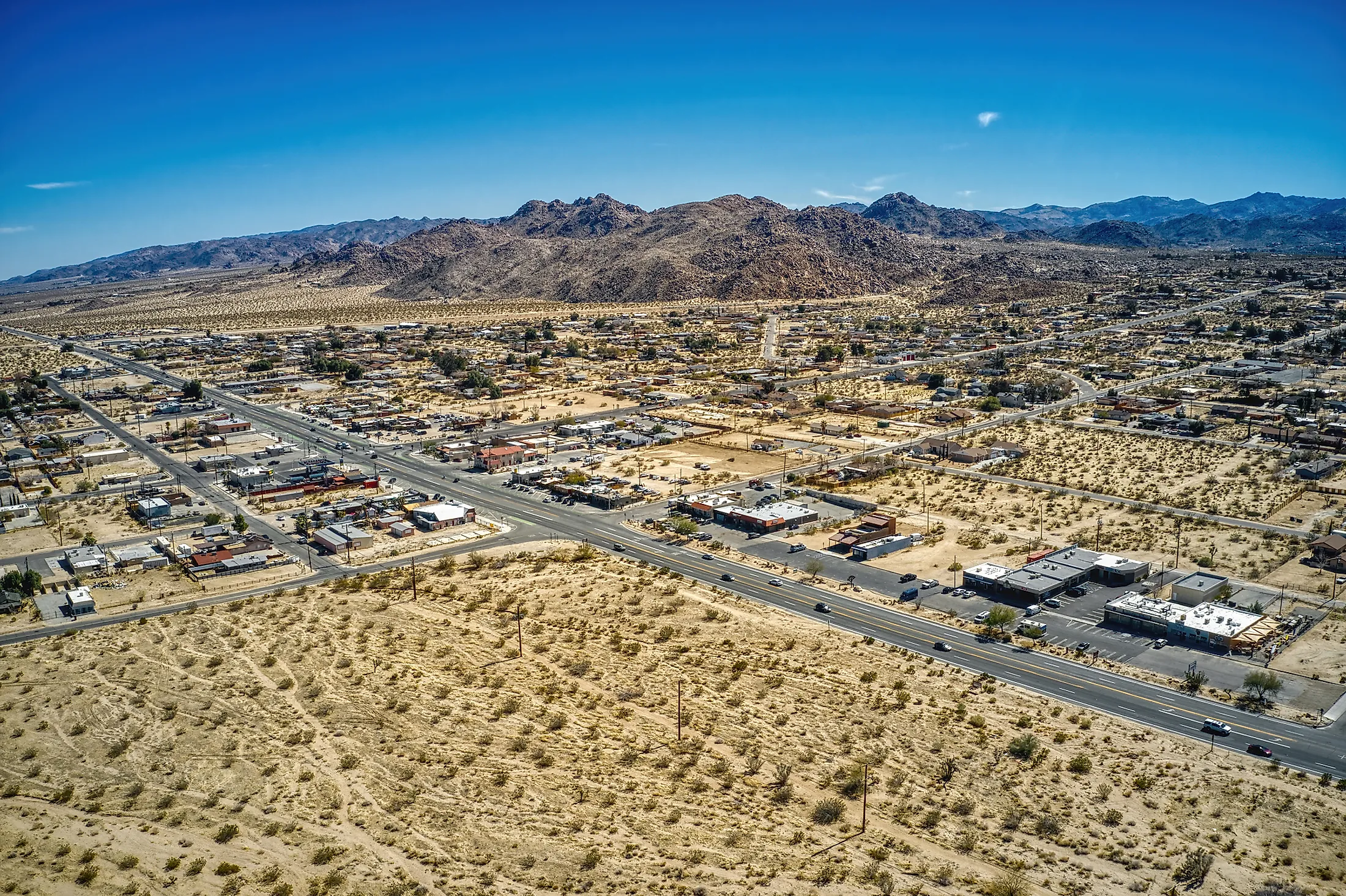 Joshua Tree 