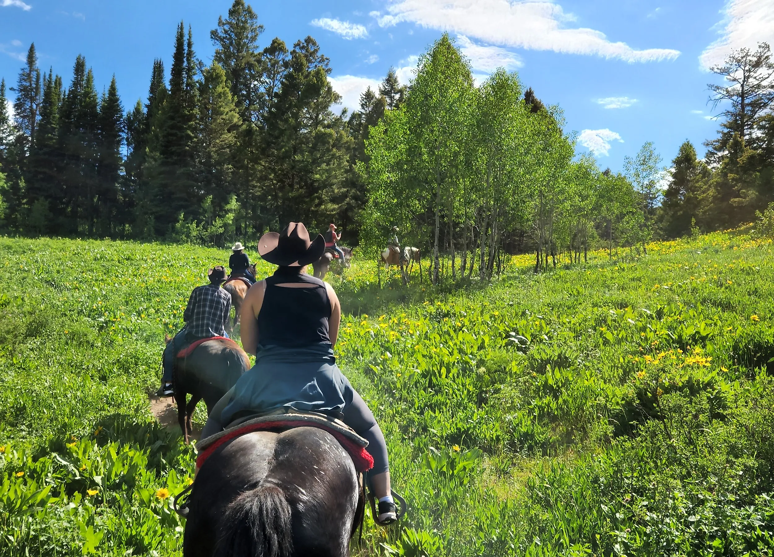 Horseback riding in Wyoming.