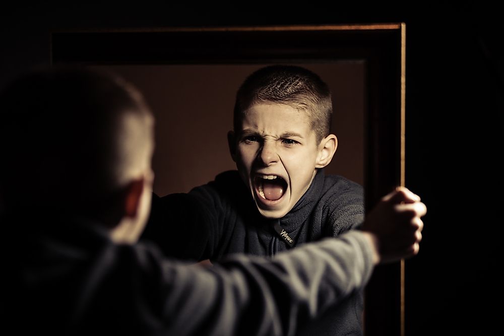 children that observed aggressive behavior were more likely to be aggressive,