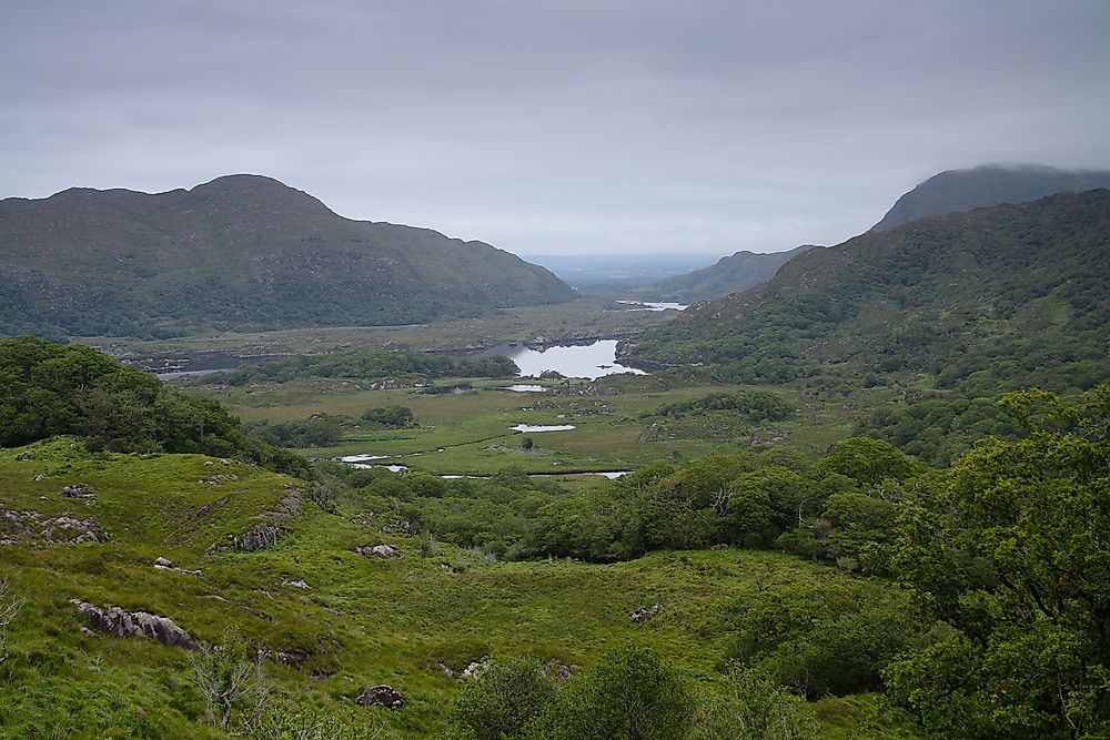 Killarney National Park, Ireland.