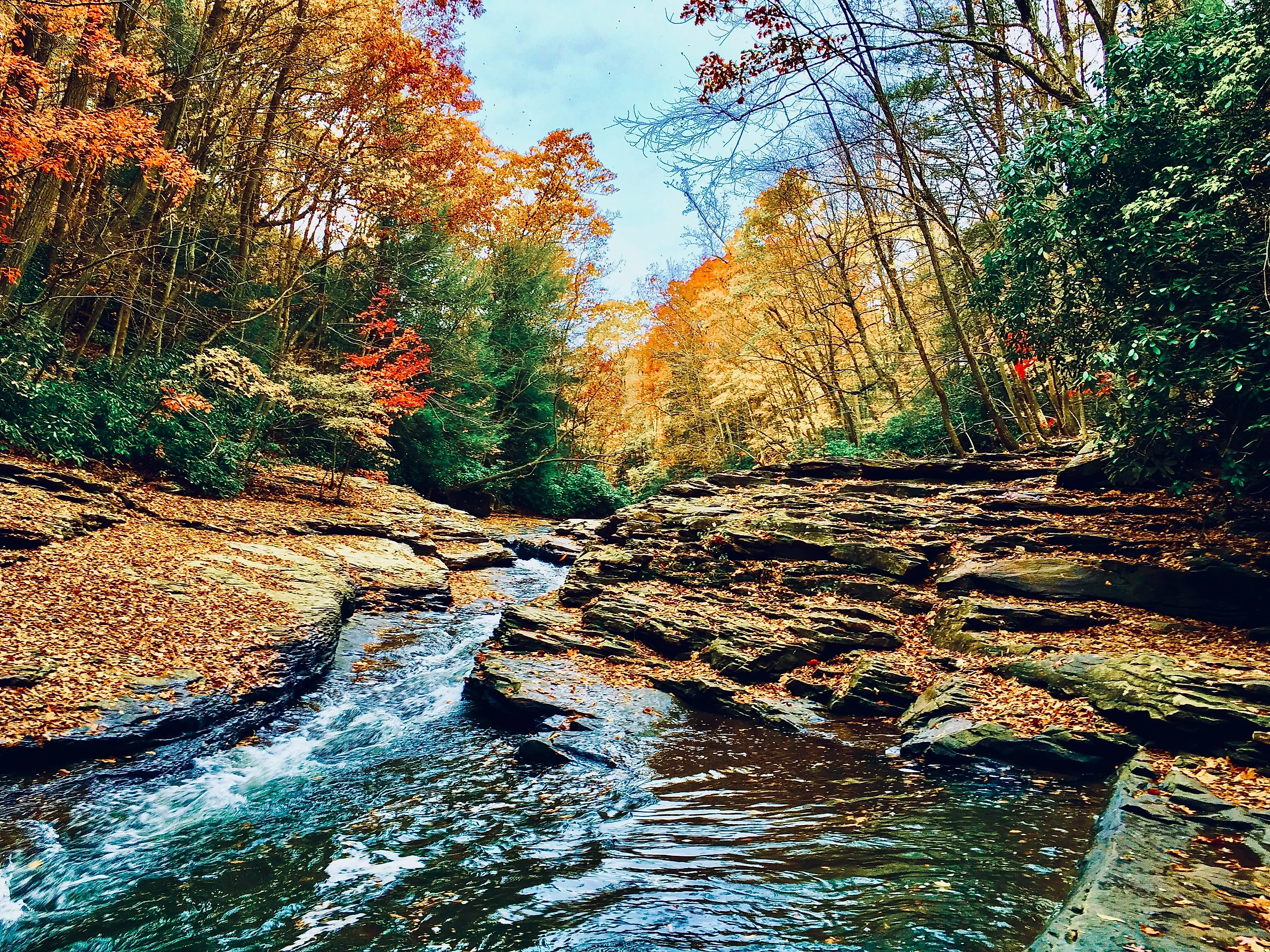 Ohiopyle State Park.
