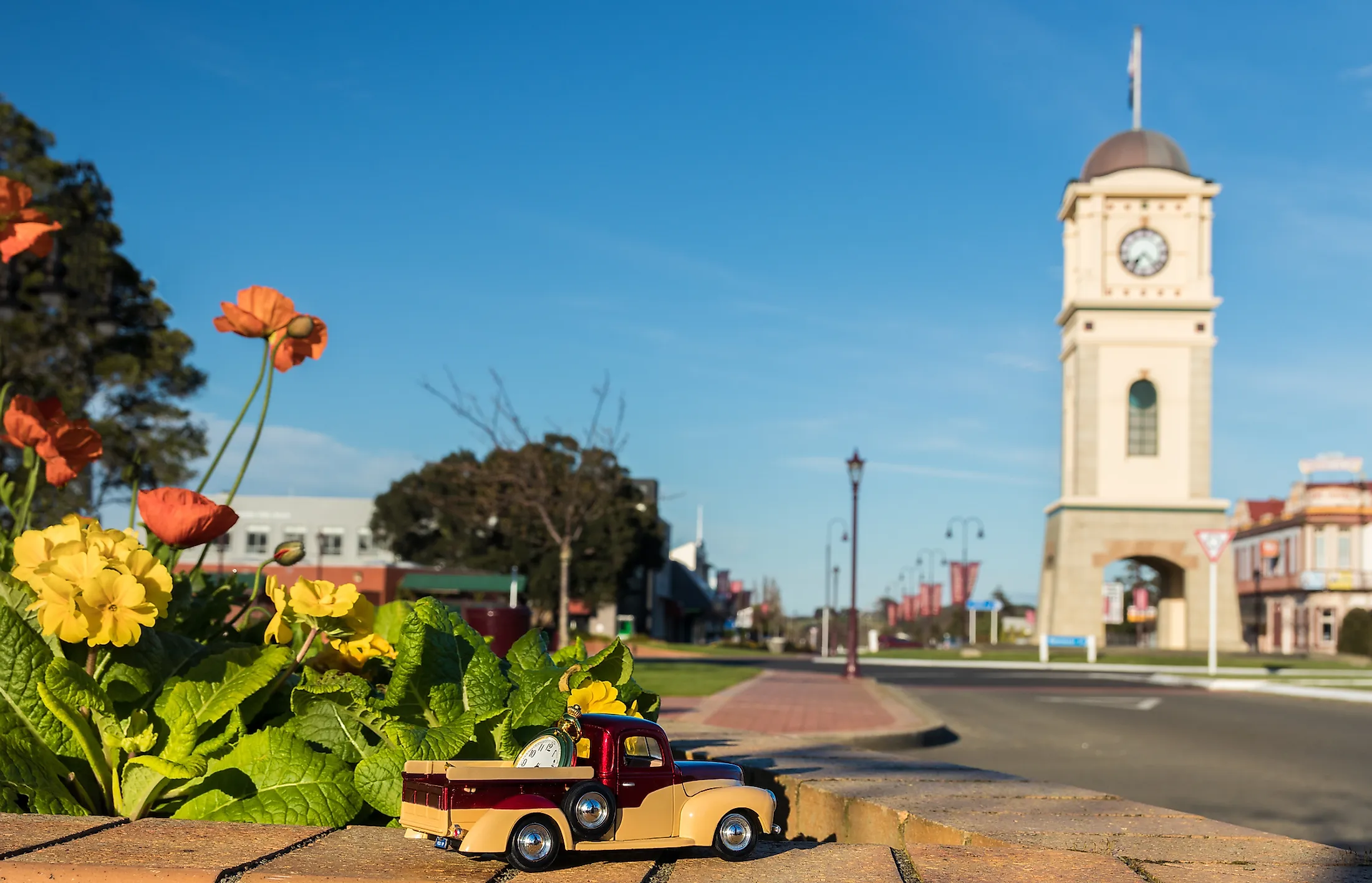 Feilding, New Zealand 