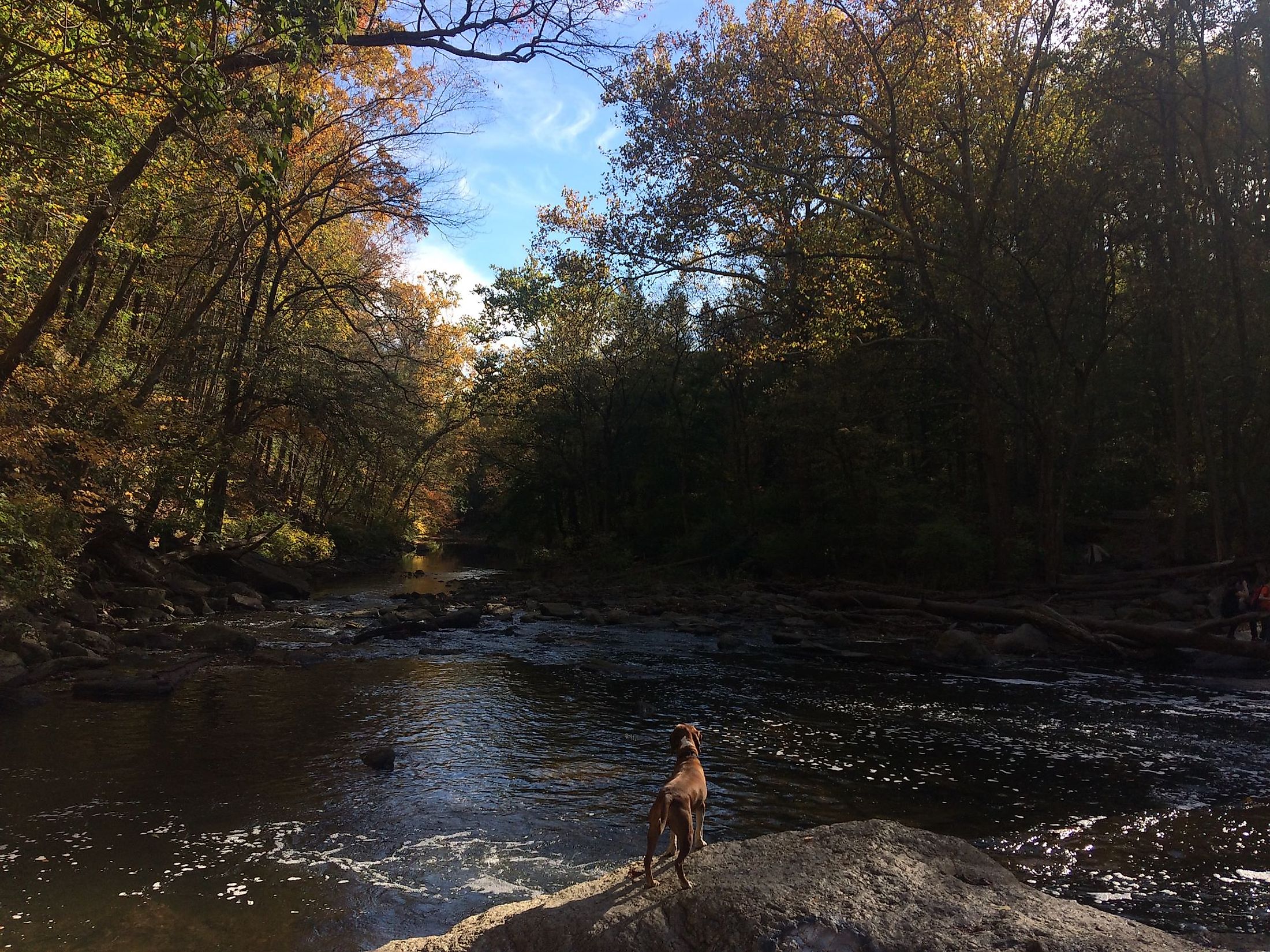 The Wissahickon Creek in the Wissahickon Valley Park, Philadelphia.