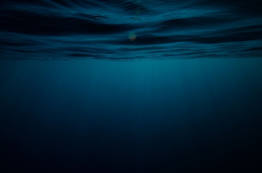 The rariphotic zone of the ocean refers to a section of the ocean that receives very little light.