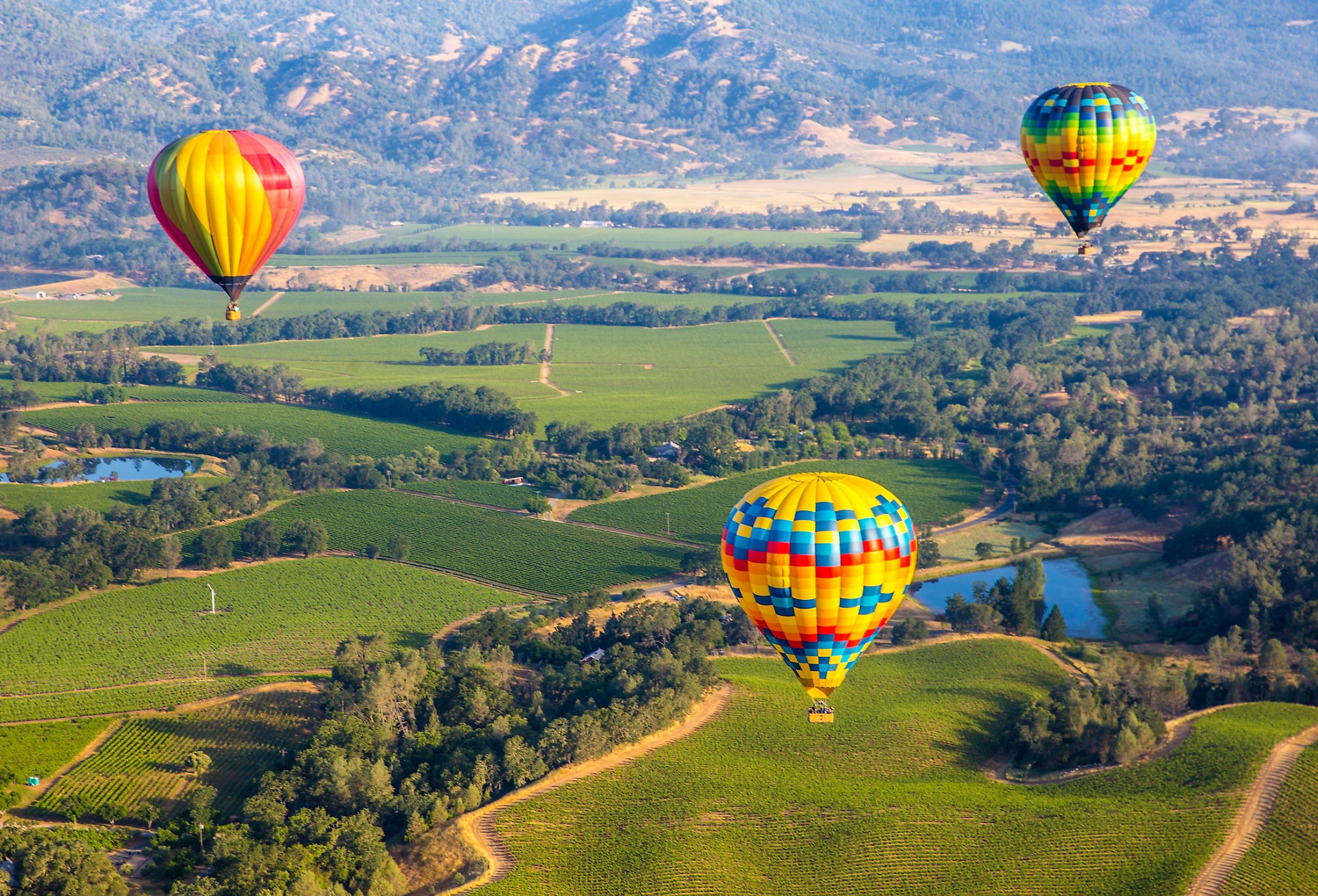 Hot Air Balloon Trip in Napa Valley, California. Image credit cheng cheng via Shutterstock