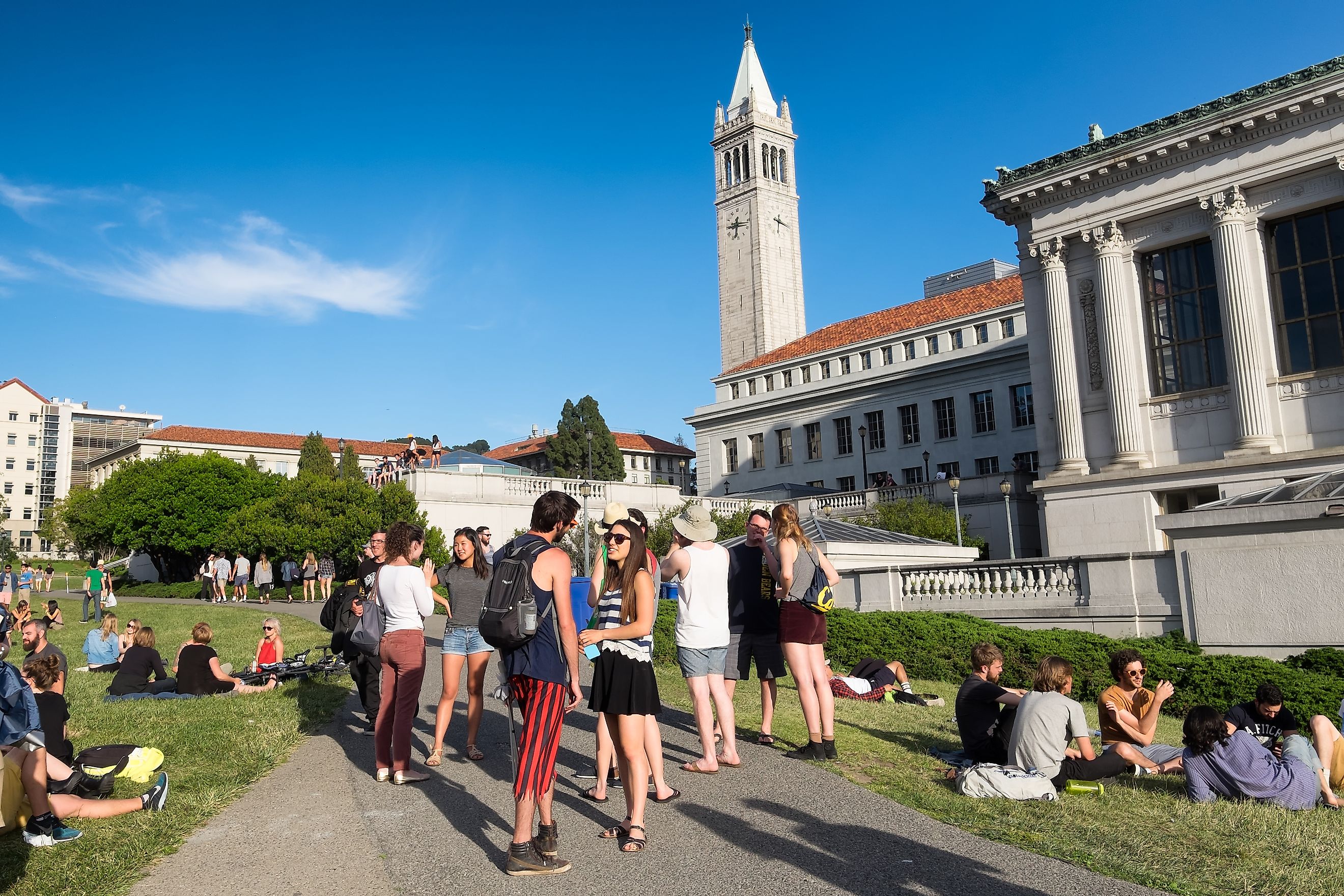 tudents at the University of California Berkeley campus enjoying a warm spring day outdoors on the grass. The Campanile tower is seen in the background.