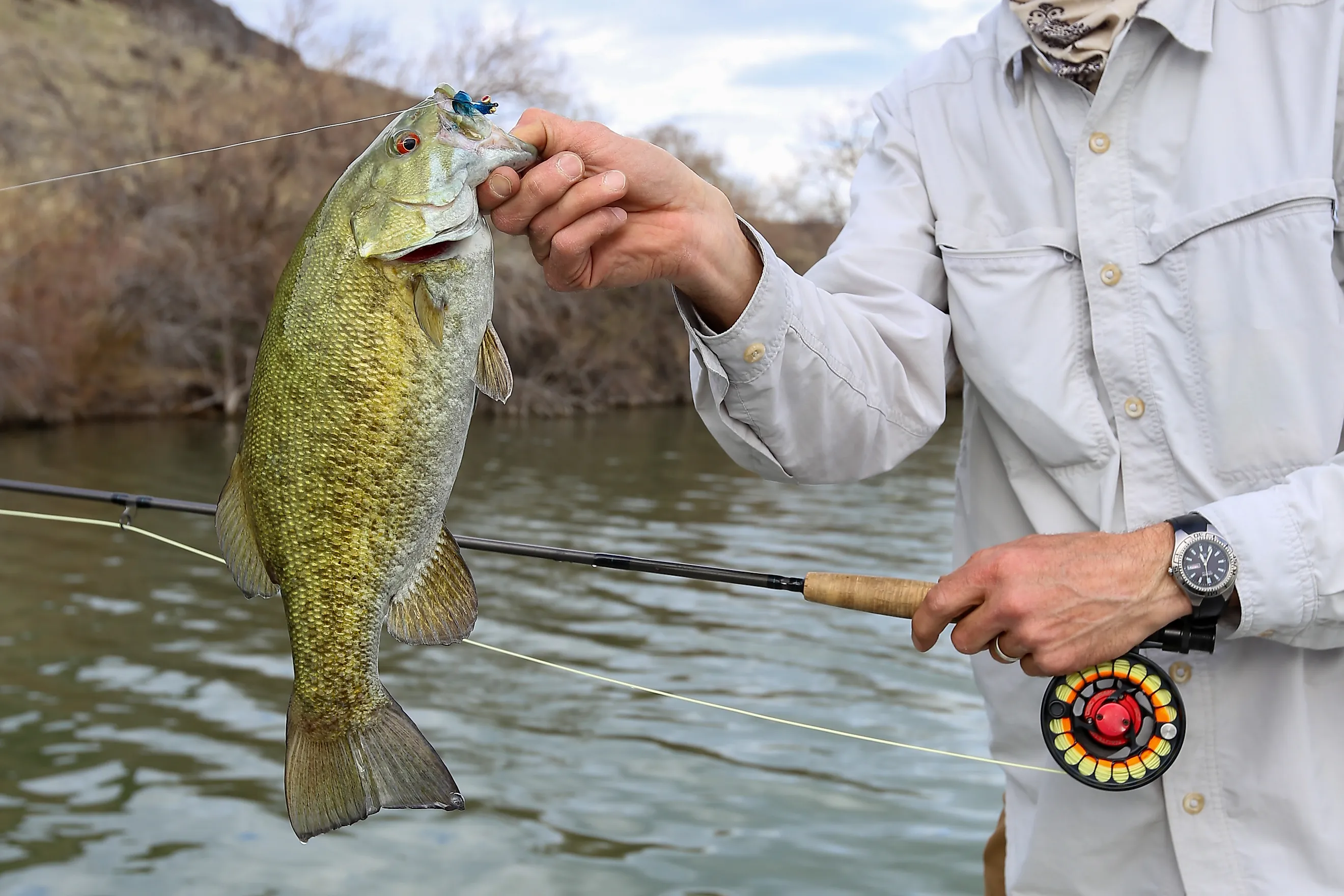 Fly fishing for small mouth bass