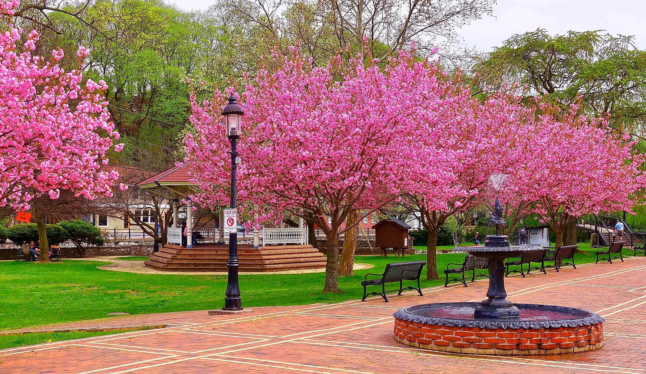 Bellefonte, Pennsylvania, a park with trees in full bloom.