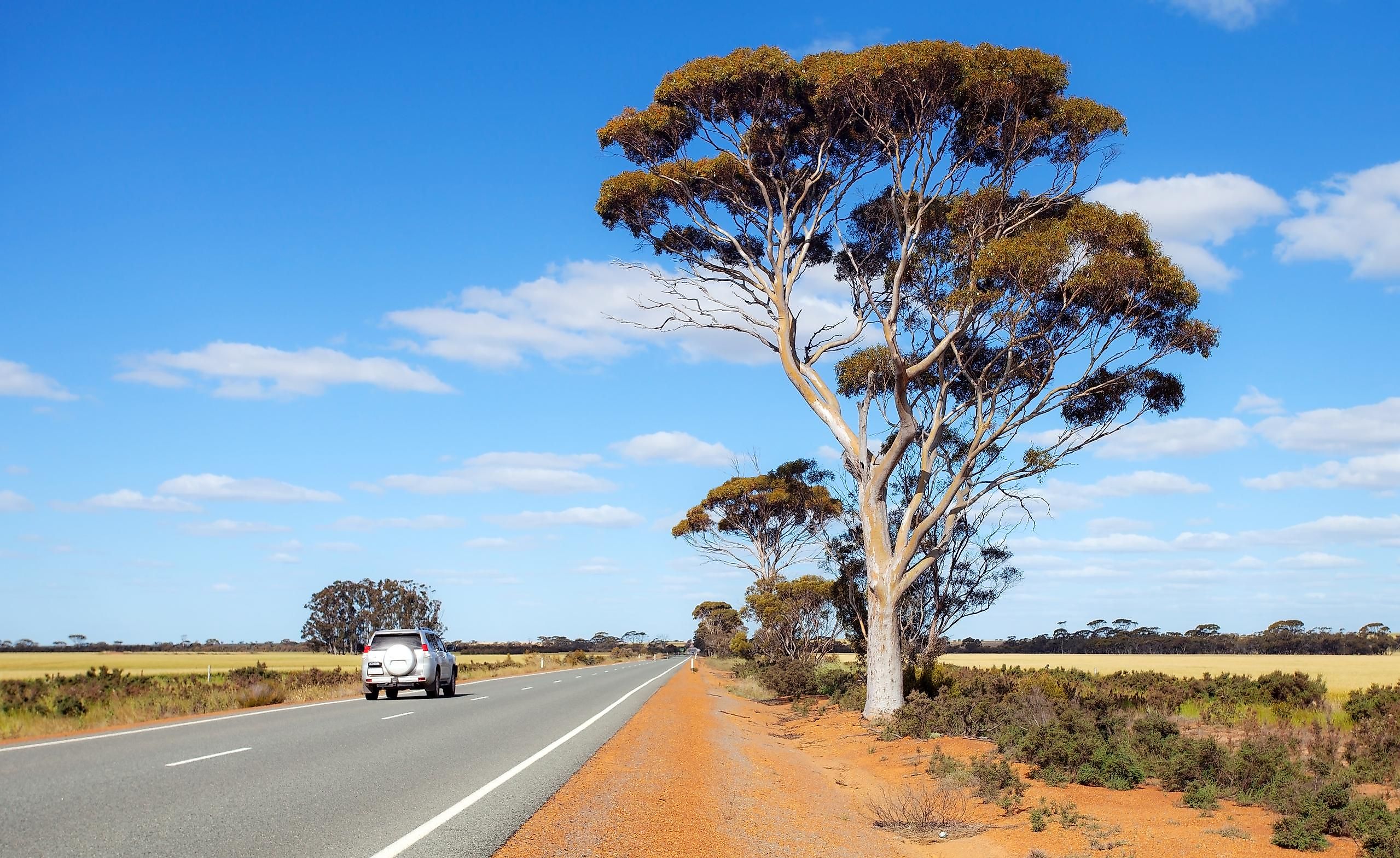 The Pintupi Nine were a group of Aborigines discovered in 1984 in Western Australia.