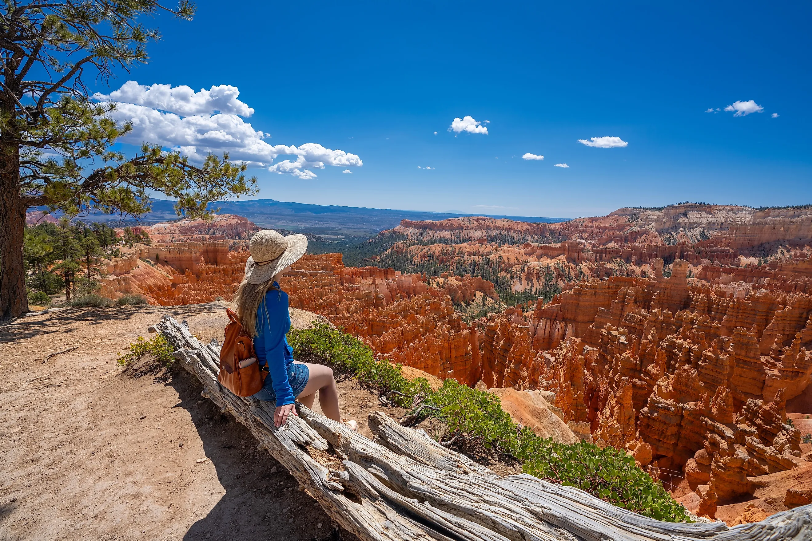 The Bryce Canyon National Park, Utah.