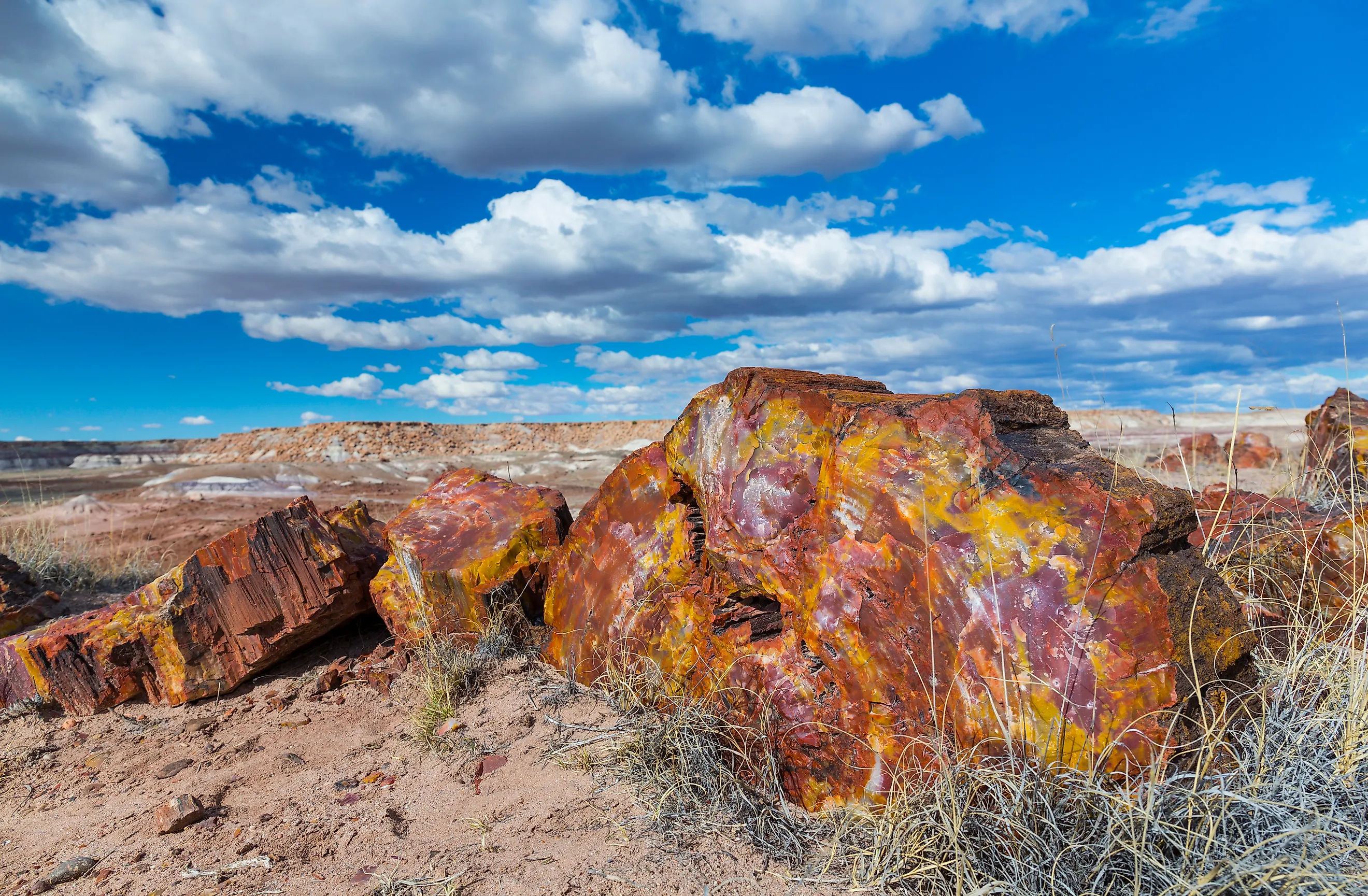 Petrified wood in the badlands of the Petrified Forest National Park in Arizona.