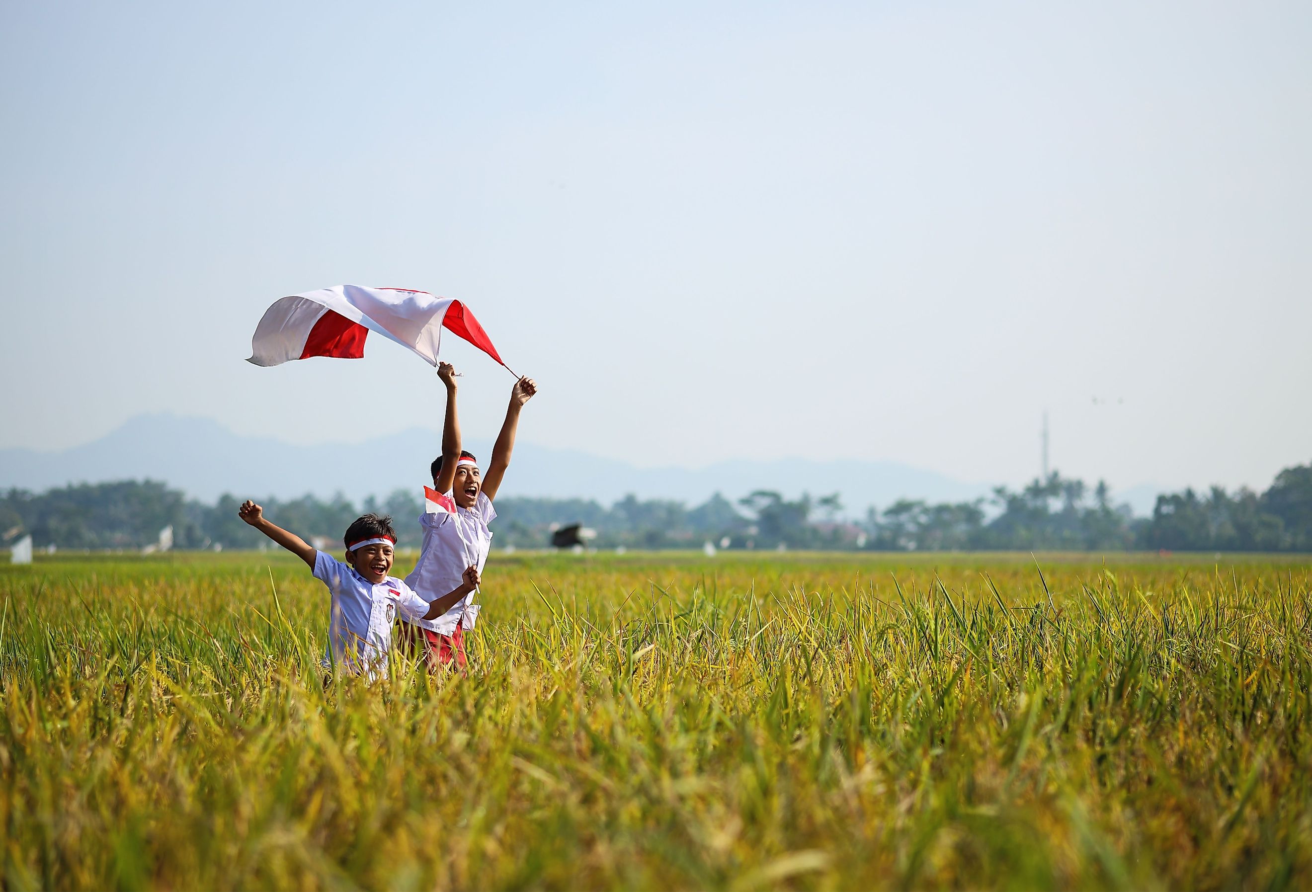 Indonesian school students wearing uniform are raising their hands while holding red white flag in the midst of the rice field. Image credit Gatot Adri via Shutterstock
