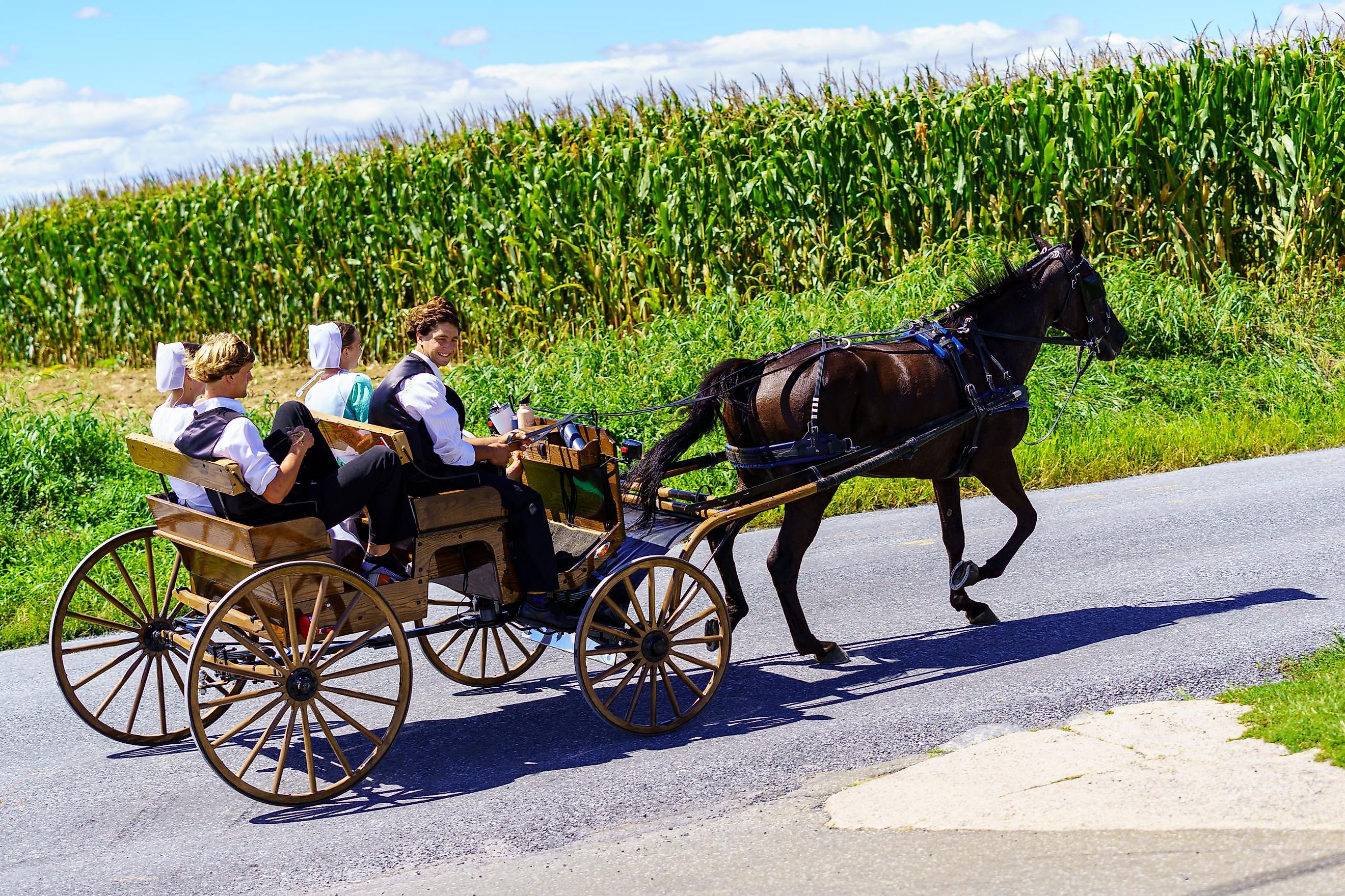 An Amish horse-drawn wagon travels on a rural road in Lancaster County. Editorial credit: George Sheldon / Shutterstock.com